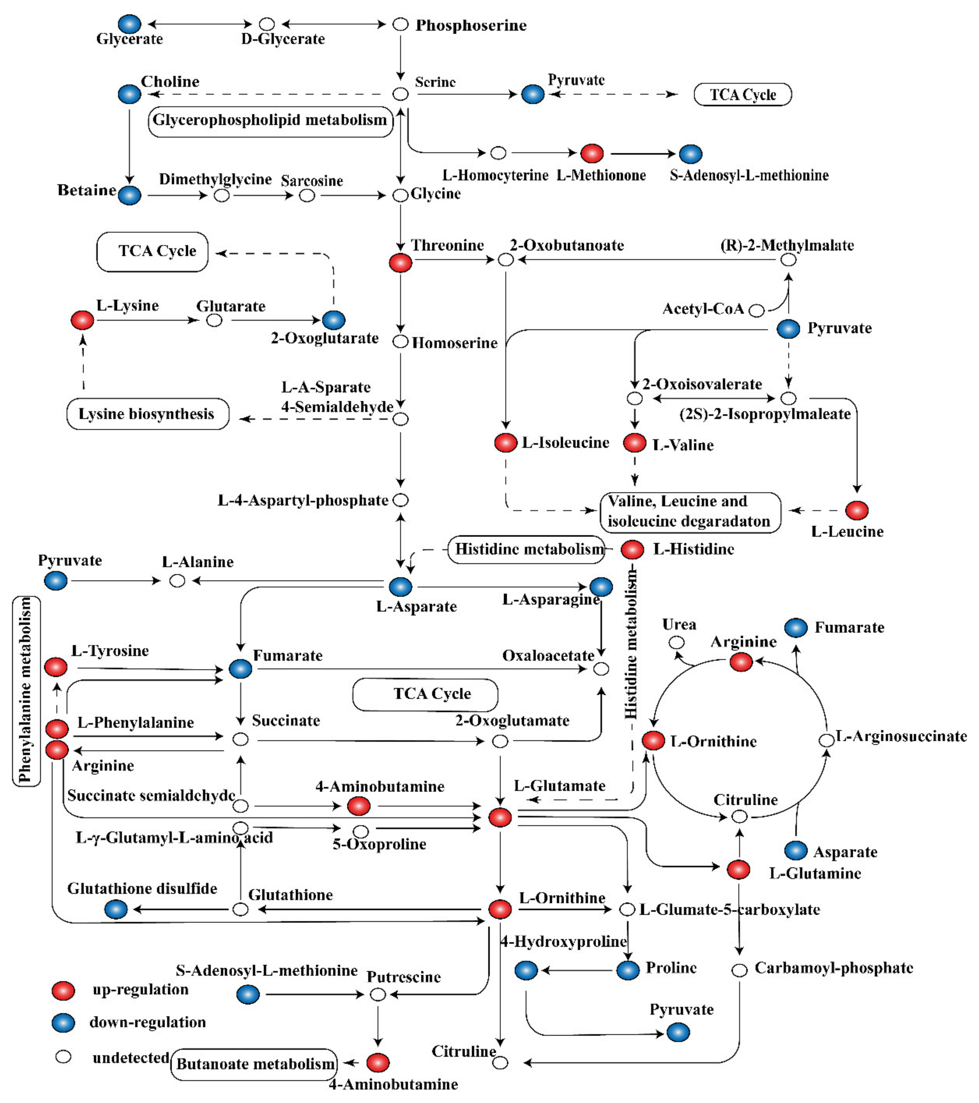 Molecules 26 00245 g005