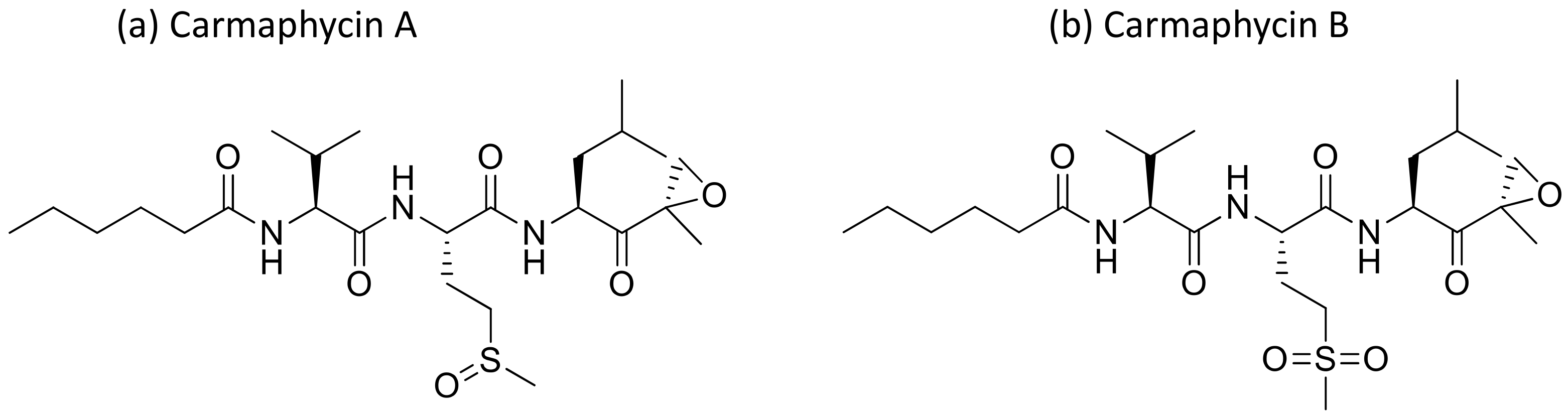 Molecules 26 00247 g009 Molecules 26 00247 g009
