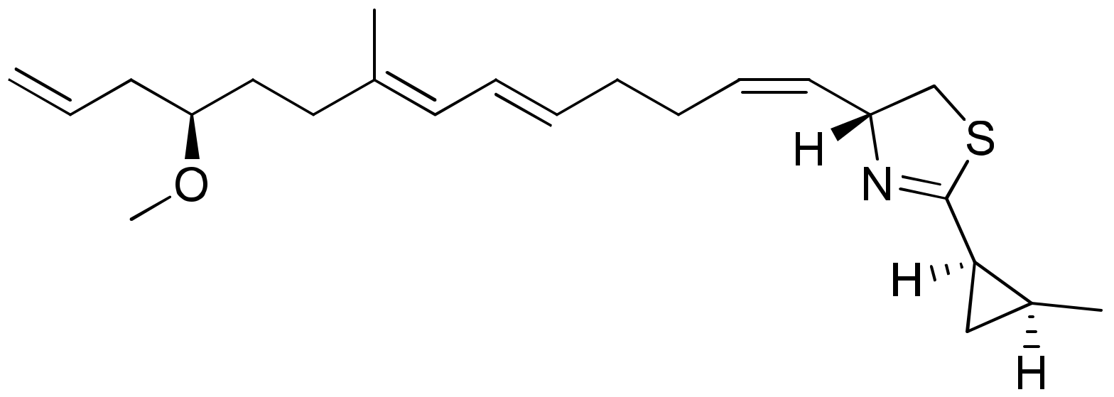 Molecules 26 00247 g013 Molecules 26 00247 g013