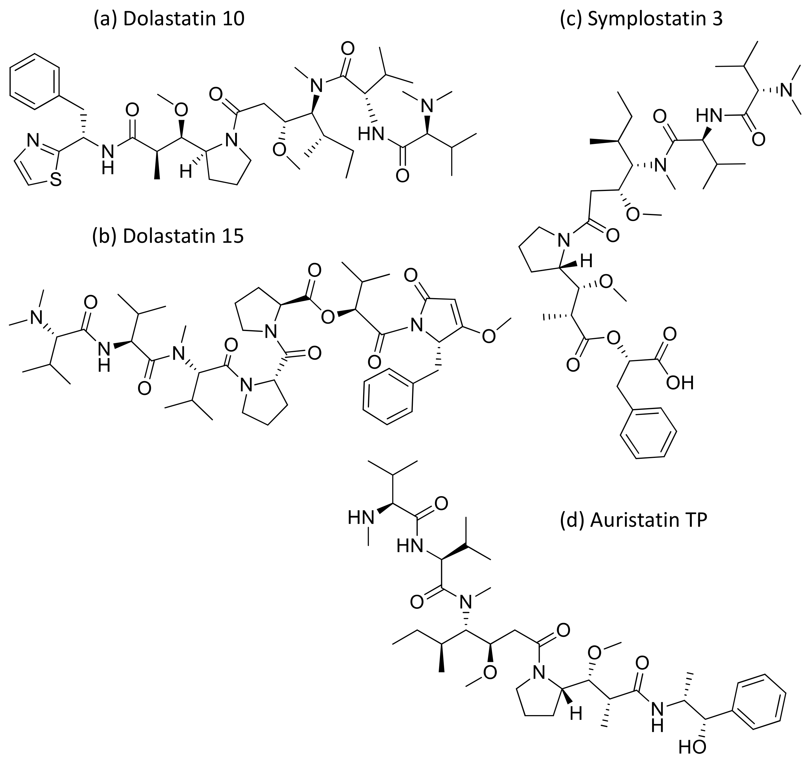 Molecules 26 00247 g015 Molecules 26 00247 g015