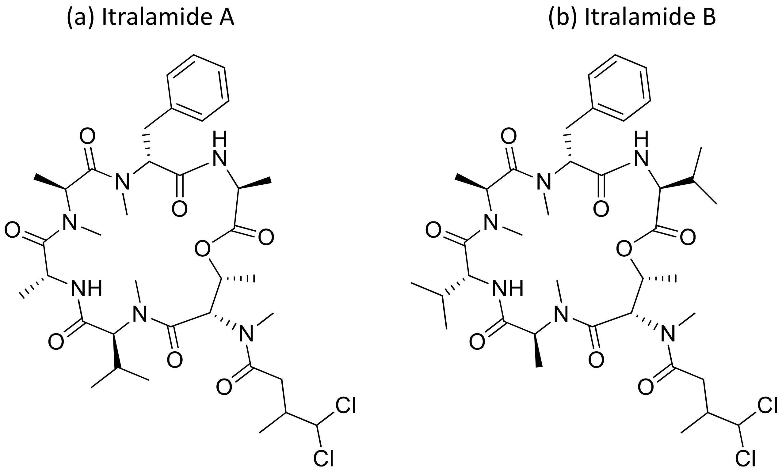 Molecules 26 00247 g022 Molecules 26 00247 g022
