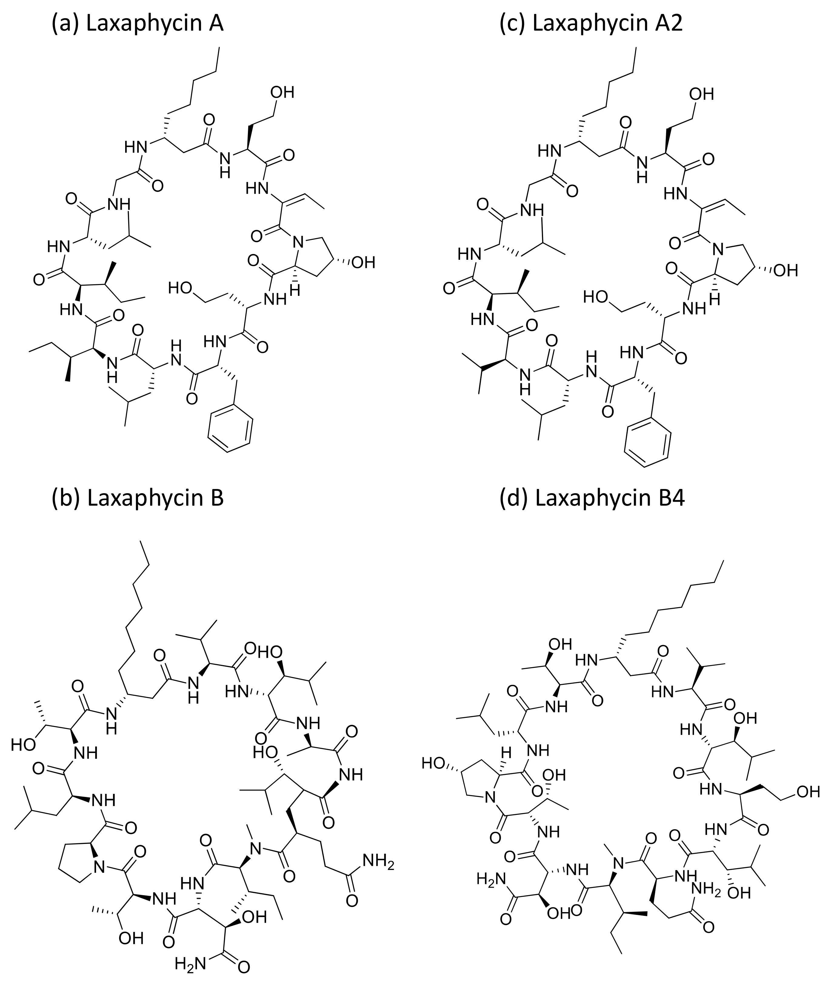 Molecules 26 00247 g025 Molecules 26 00247 g025