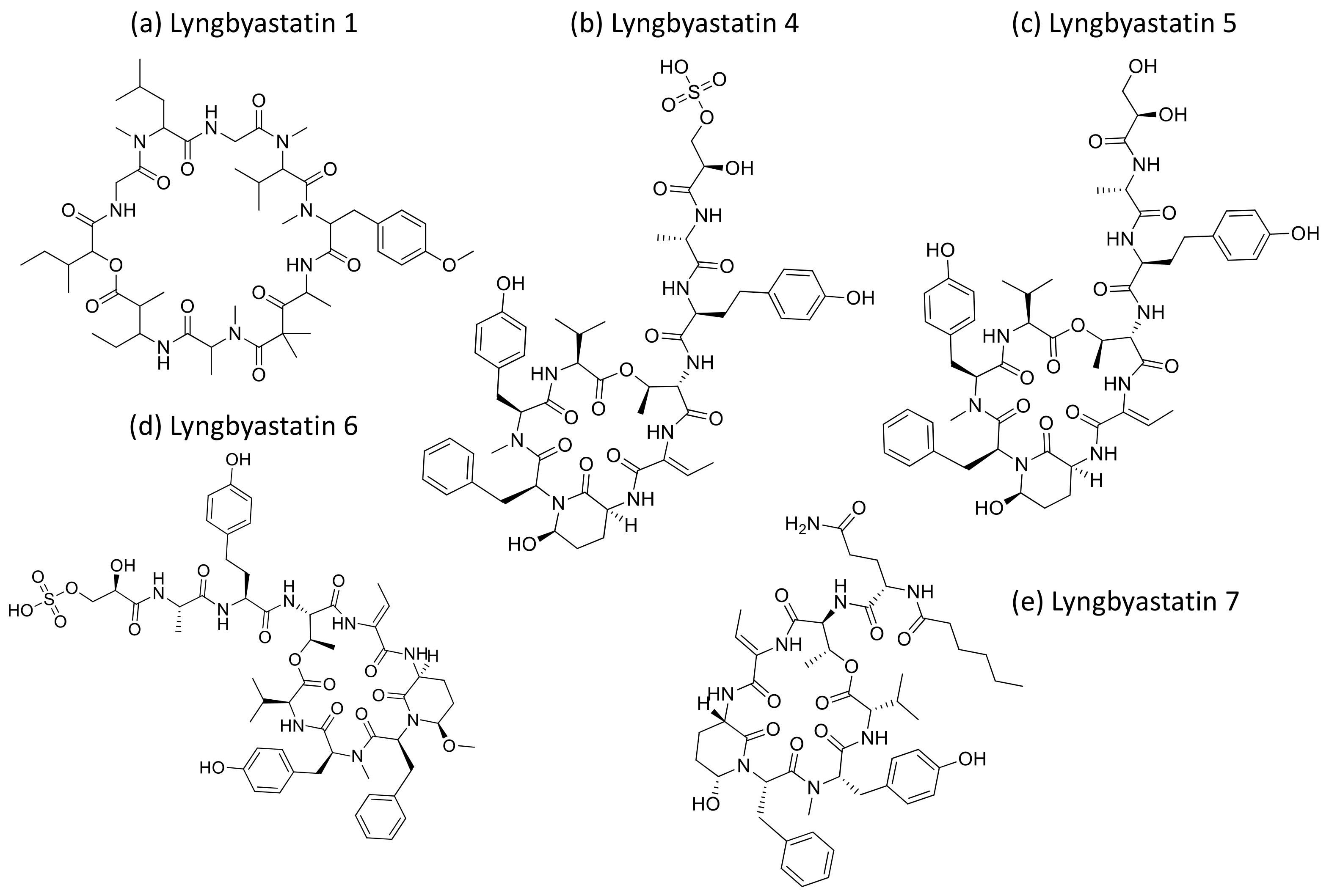 Molecules 26 00247 g027 Molecules 26 00247 g027