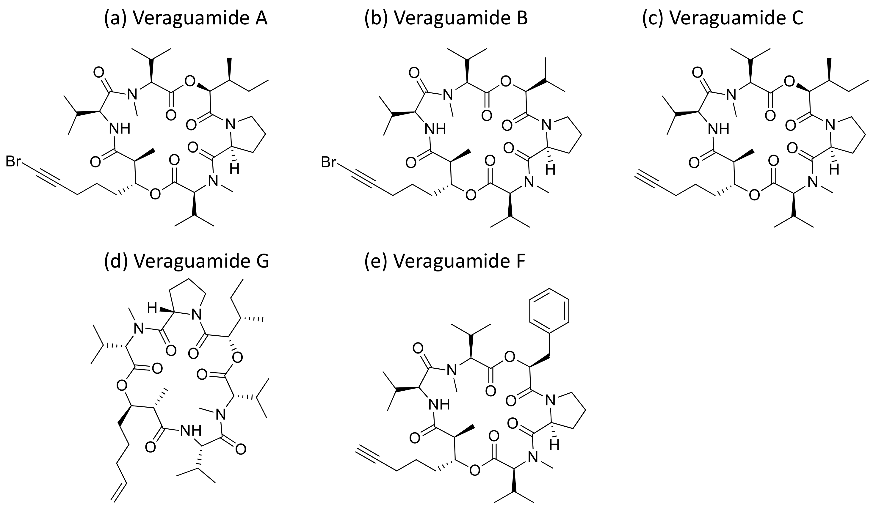 Molecules 26 00247 g030 Molecules 26 00247 g030