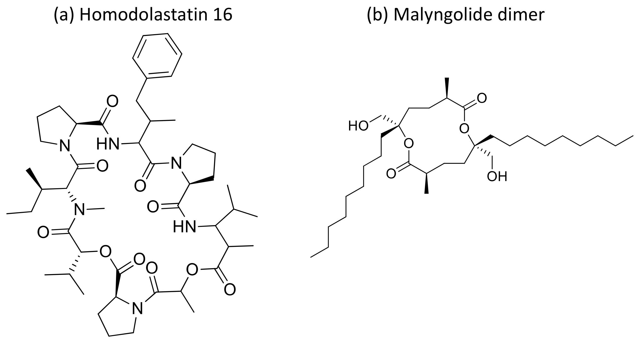 Molecules 26 00247 g034 Molecules 26 00247 g034