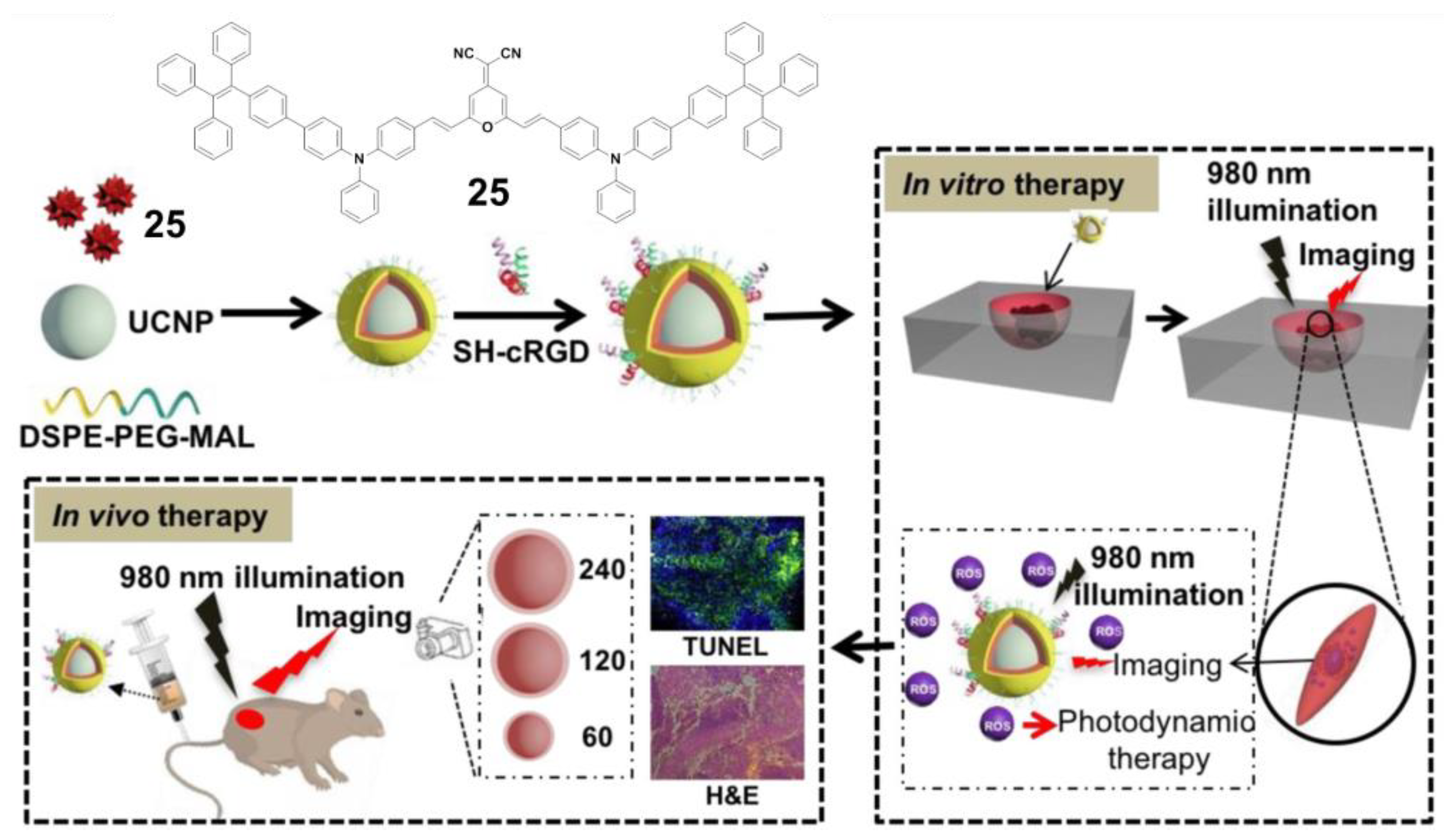 Molecules 26 00268 g008