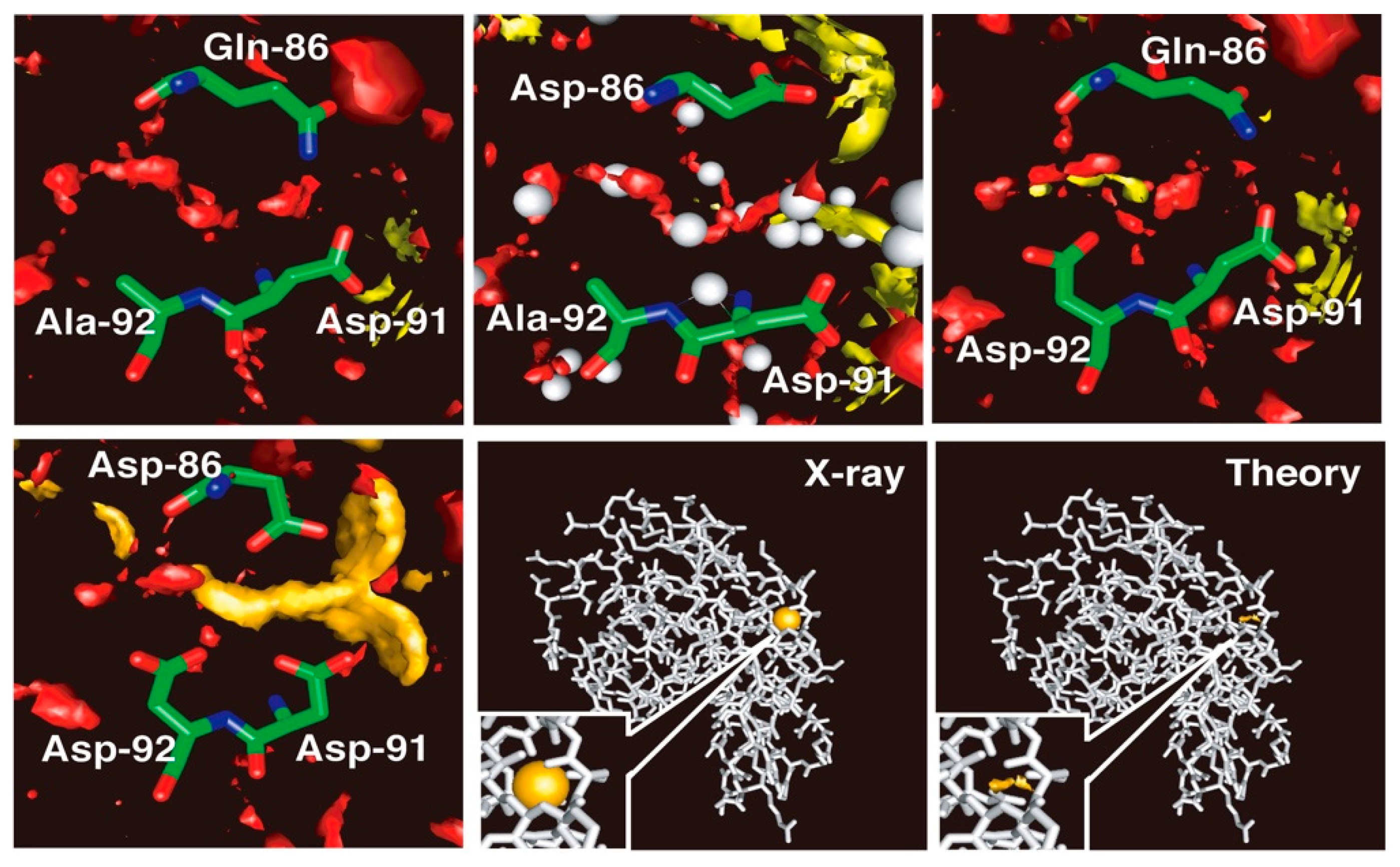 Molecules 26 00271 g006 Molecules 26 00271 g006
