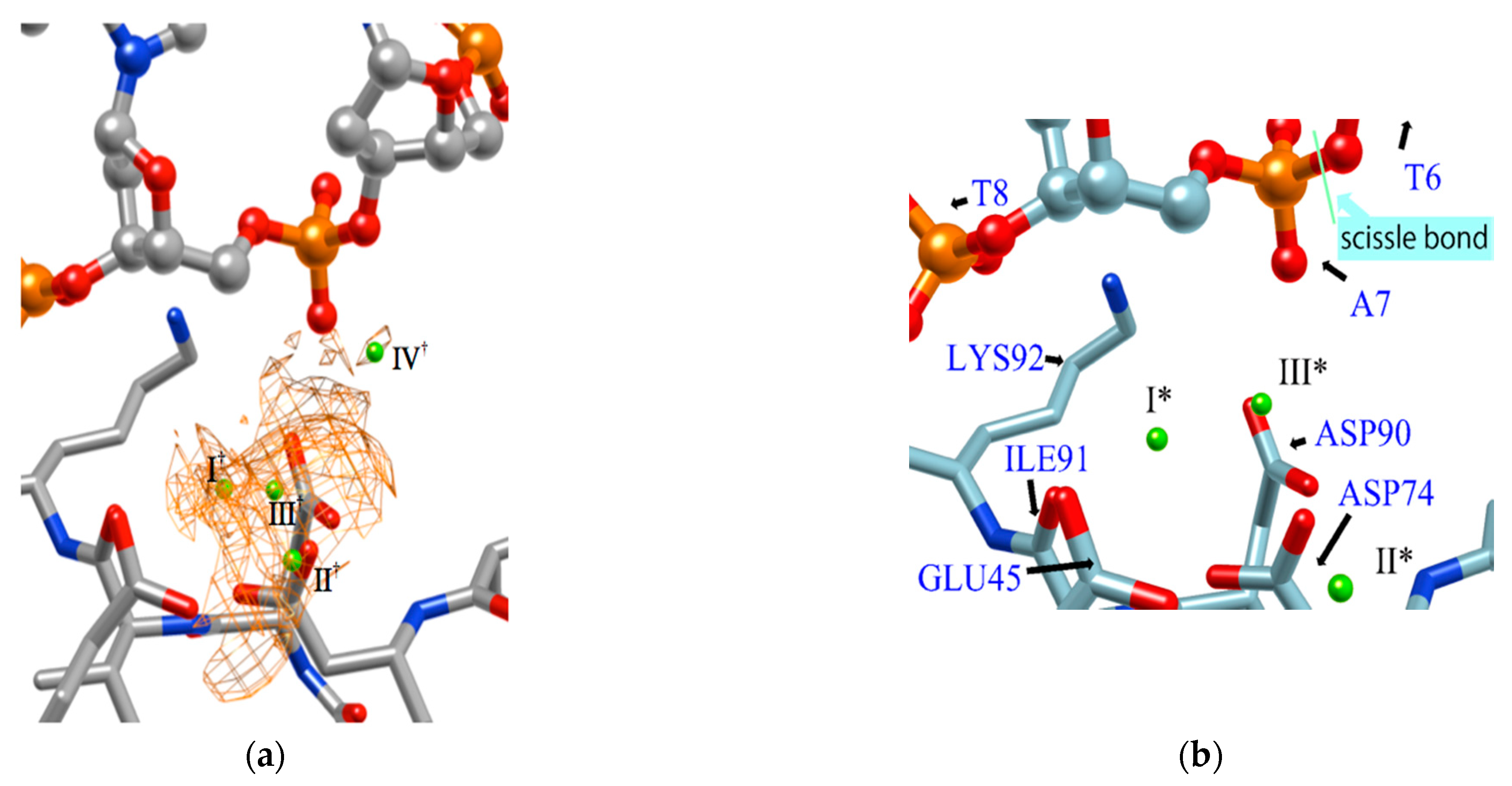 Molecules 26 00271 g007 Molecules 26 00271 g007