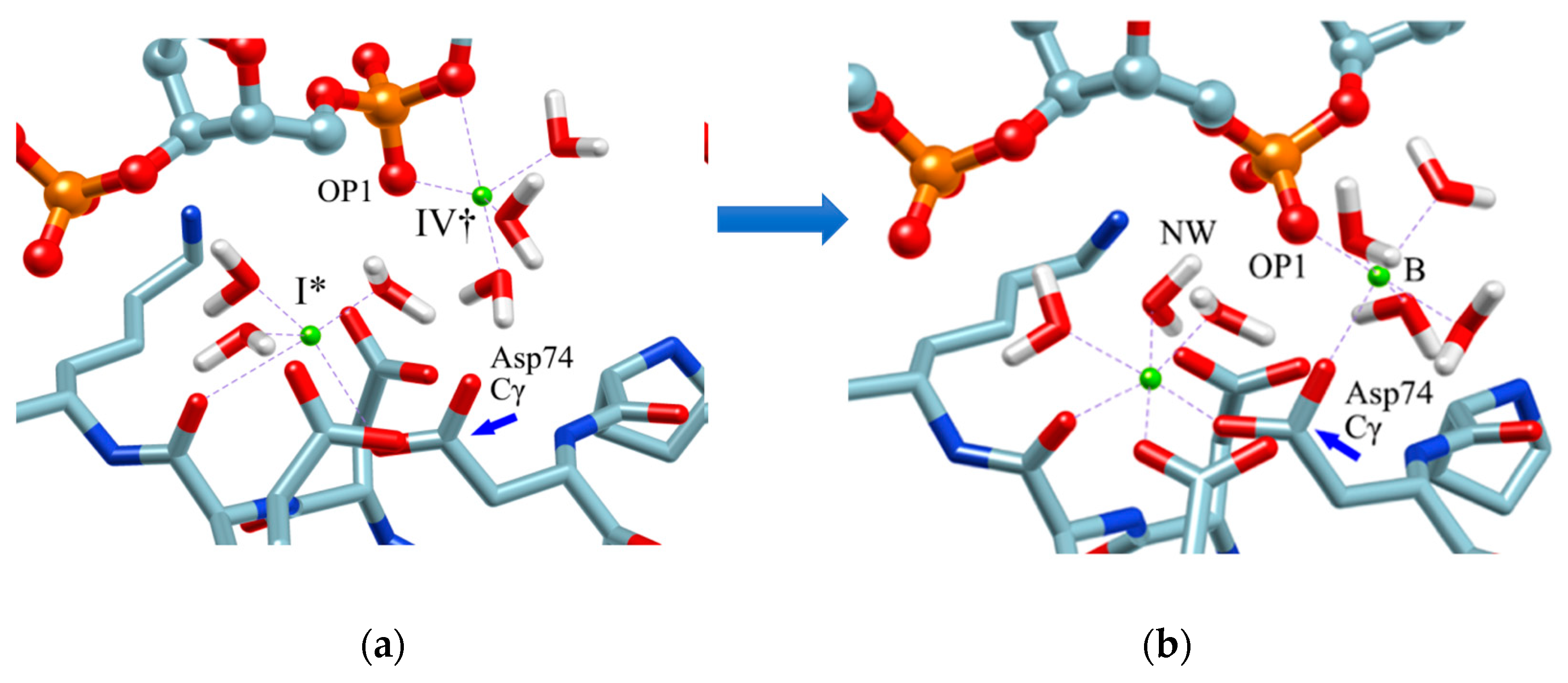 Molecules 26 00271 g008 Molecules 26 00271 g008