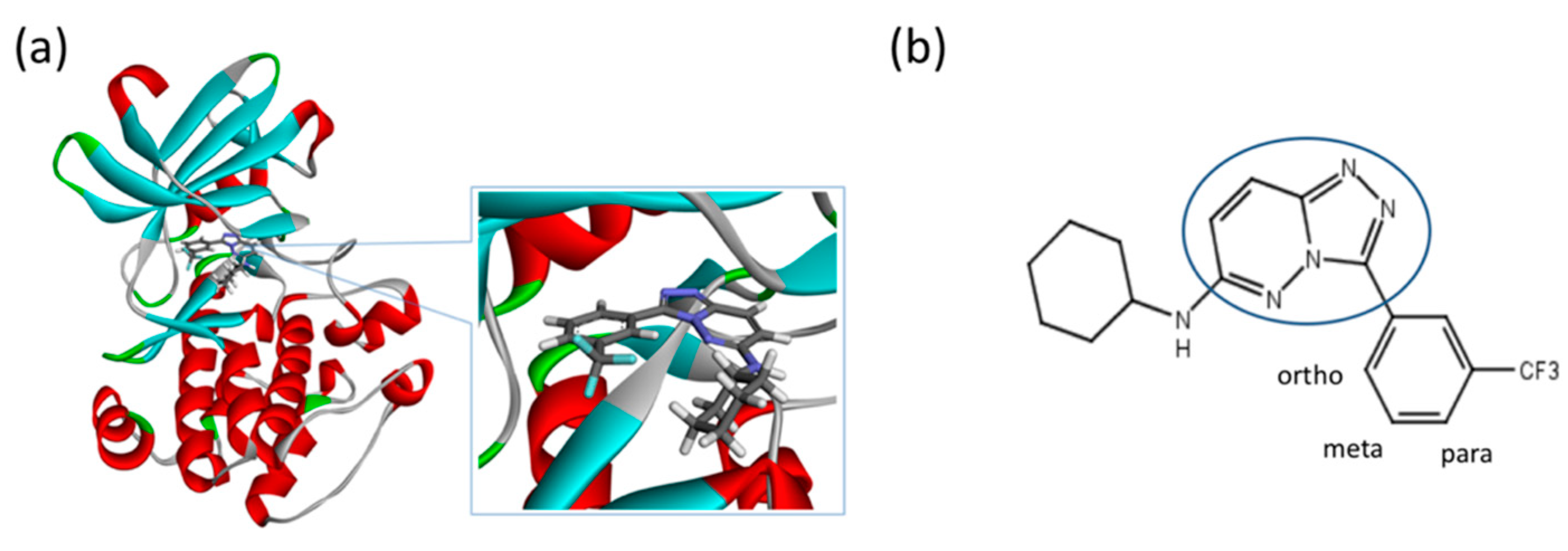 Molecules 26 00271 g010 Molecules 26 00271 g010