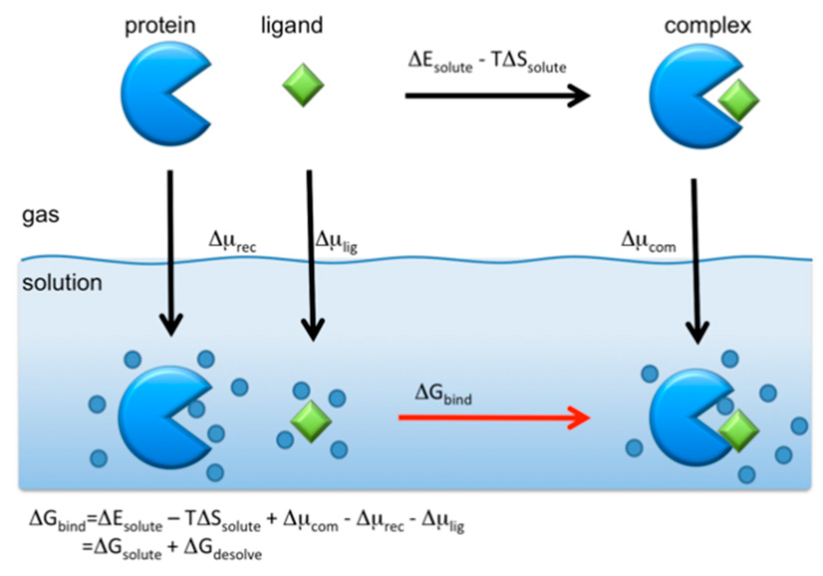 Molecules 26 00271 g011 Molecules 26 00271 g011