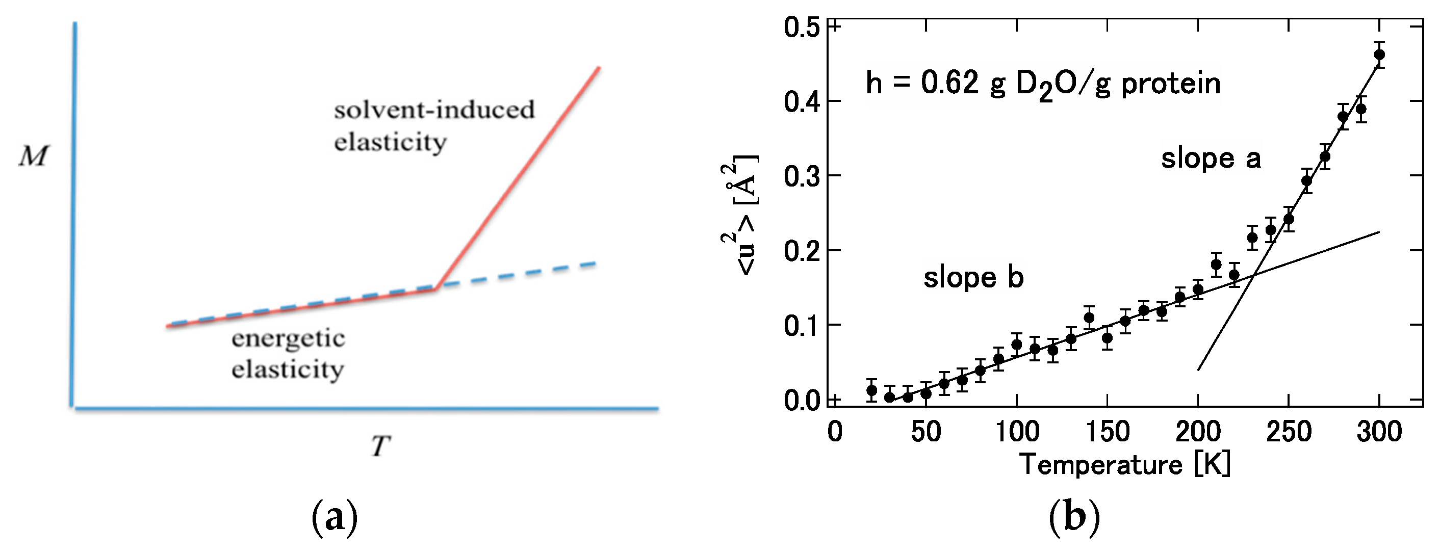 Molecules 26 00271 g014 Molecules 26 00271 g014
