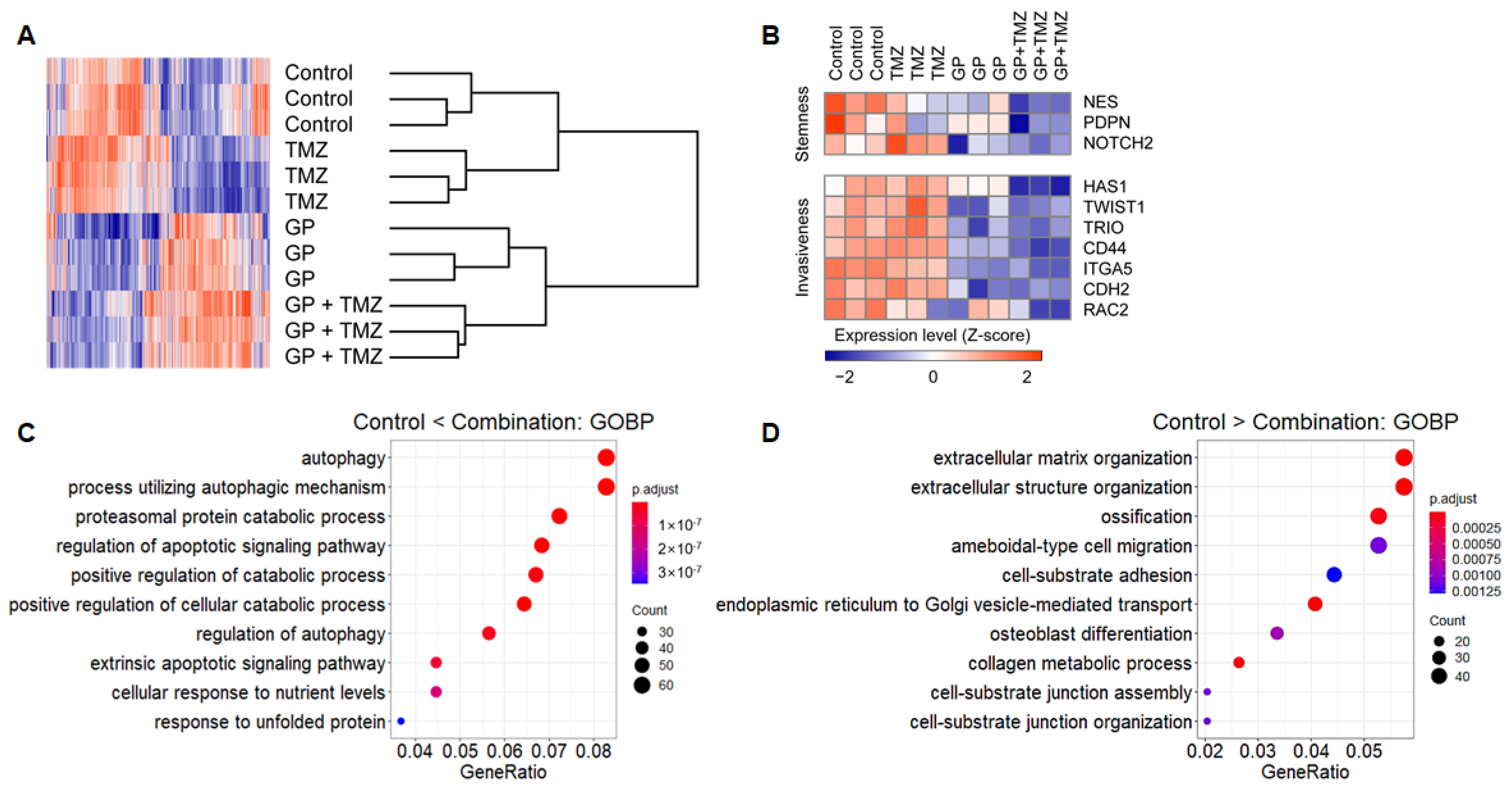 Molecules 26 00282 g004 Molecules 26 00282 g004