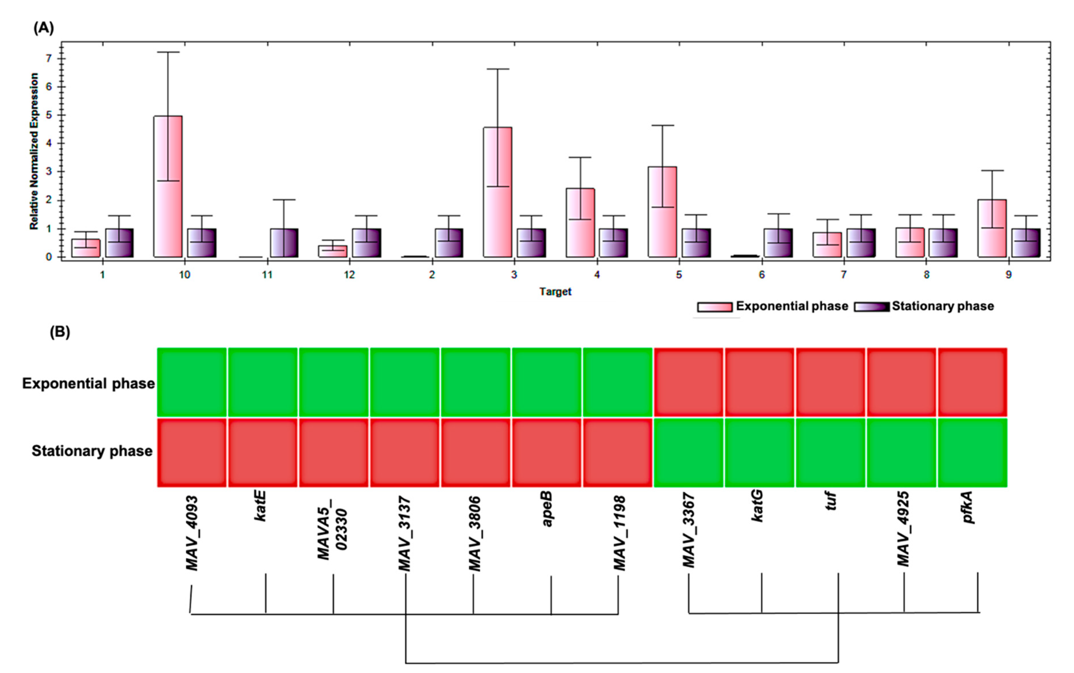 Molecules 26 00305 g005