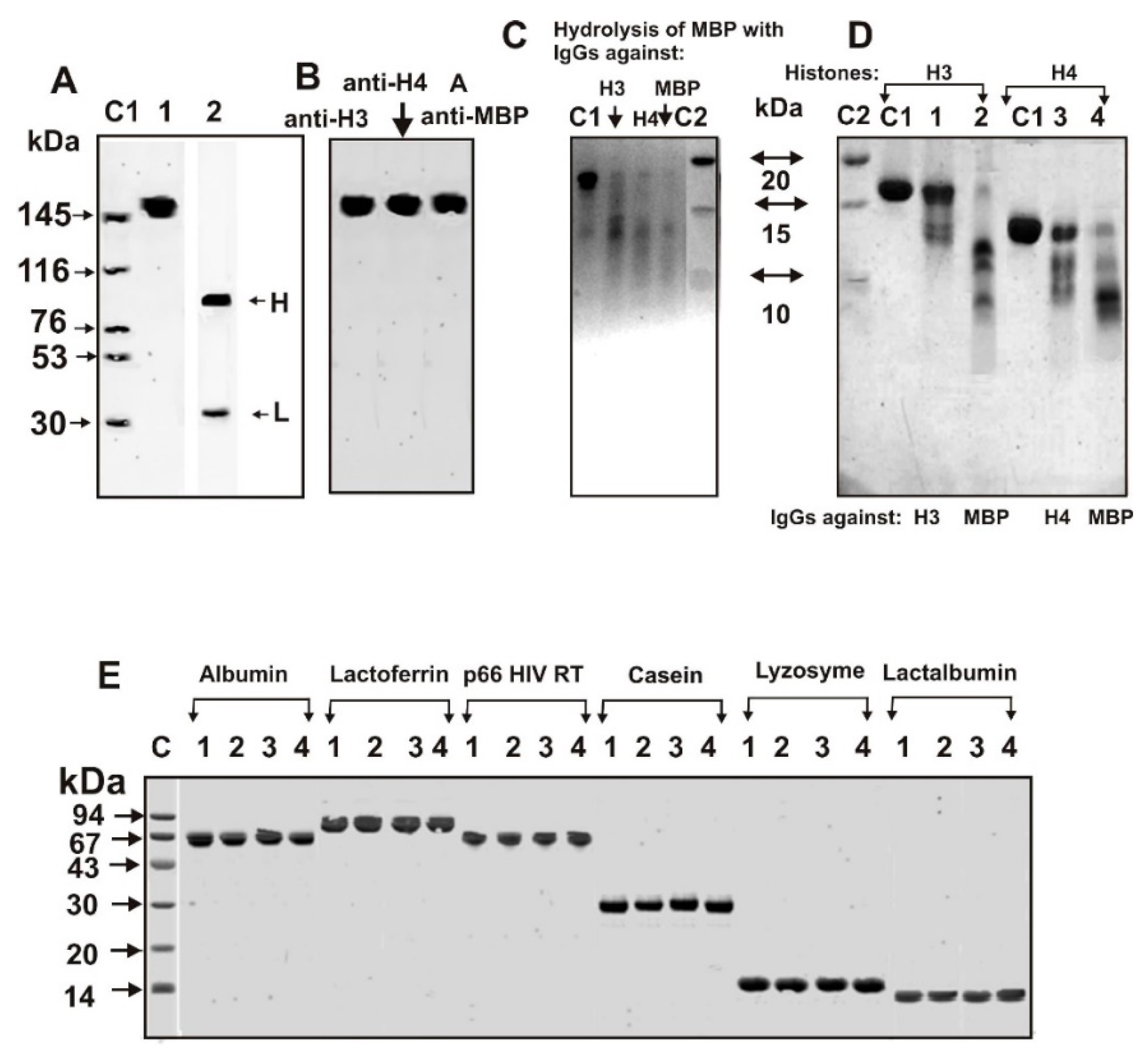 Molecules 26 00316 g001