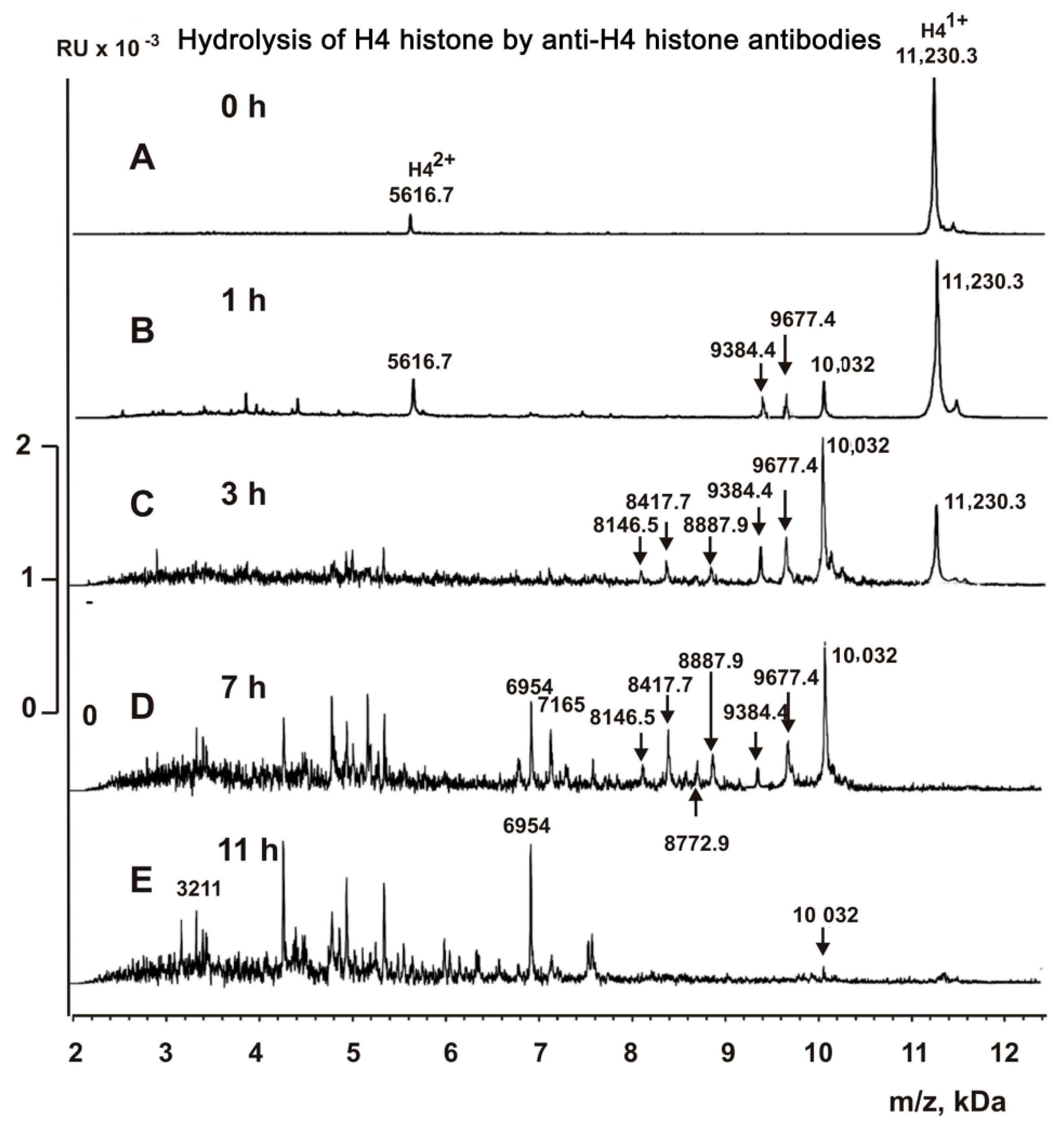 Molecules 26 00316 g006