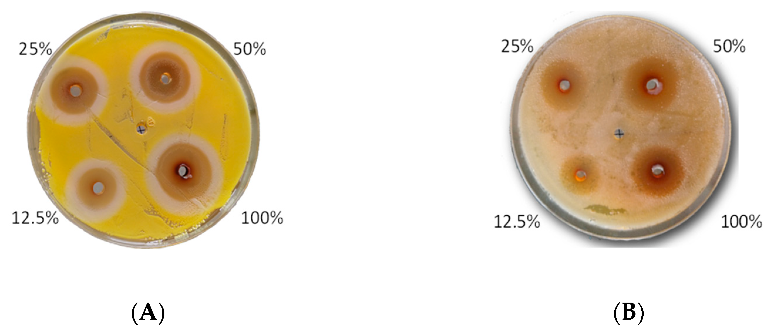 Molecules 26 00329 g004 Molecules 26 00329 g004