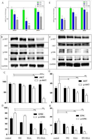 Molecules Free Full Text Chemosensitization Of Ht29 And Ht29 5fu Cell Lines By A Combination Of A Multi Tyrosine Kinase Inhibitor And 5fu Downregulates Abcc1 And Inhibits Pik3ca In Light Of Their Importance