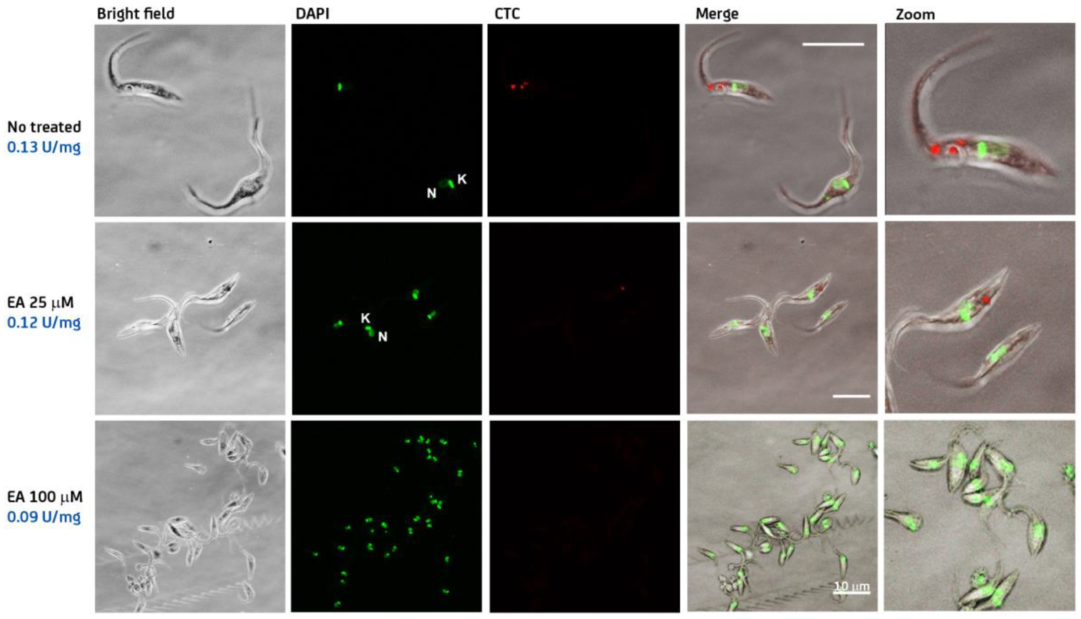 Molecules 26 00358 g003