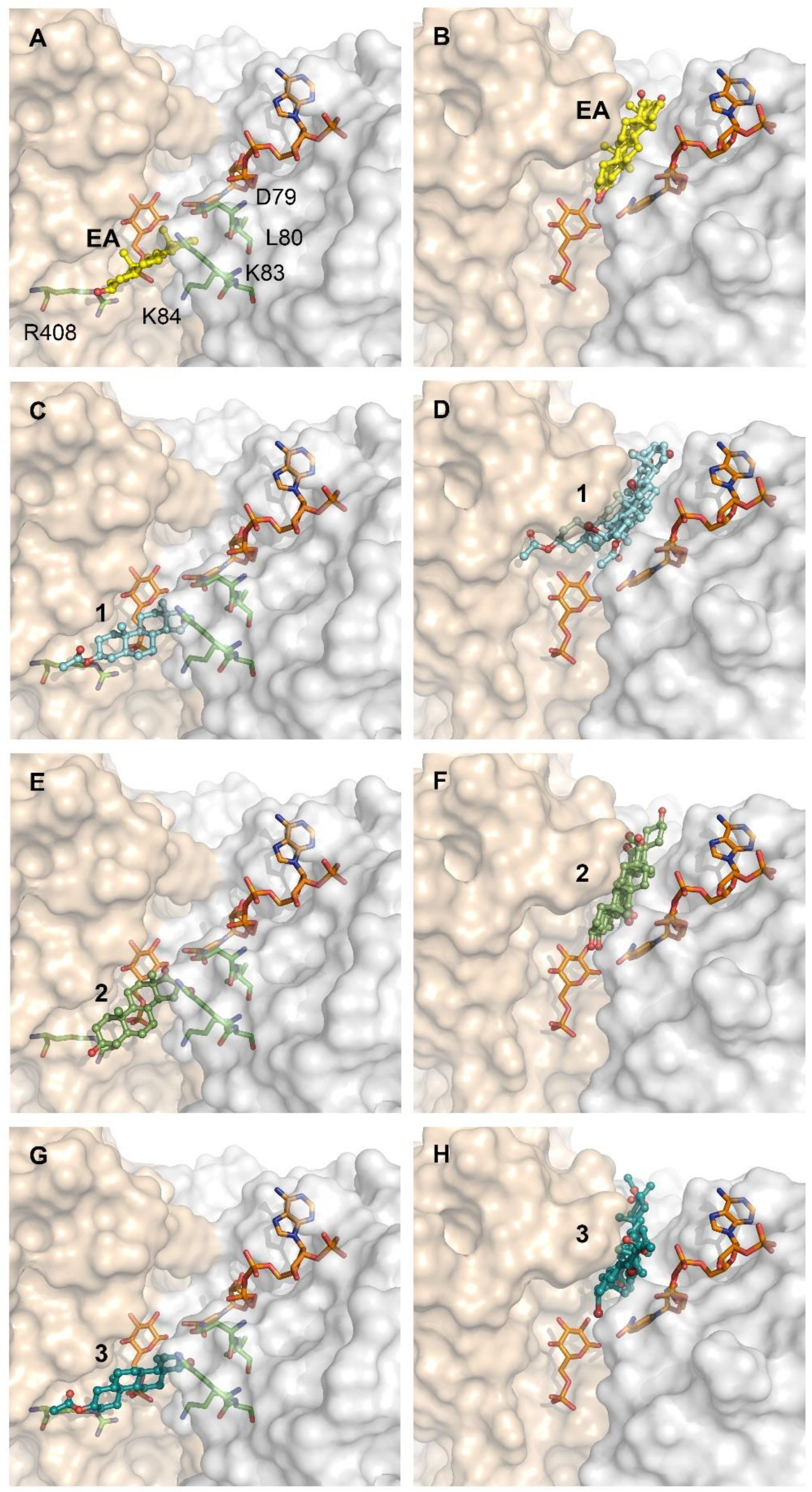 Molecules 26 00358 g006