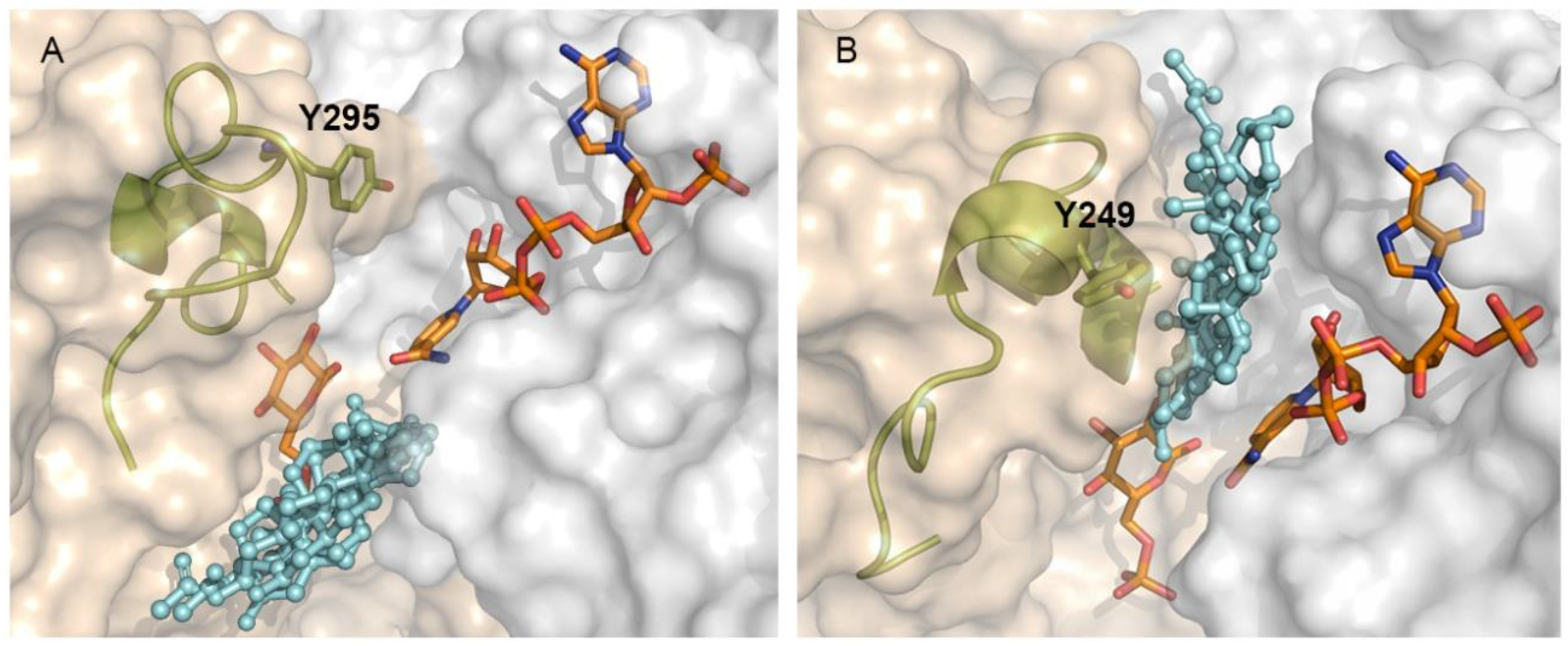Molecules 26 00358 g007