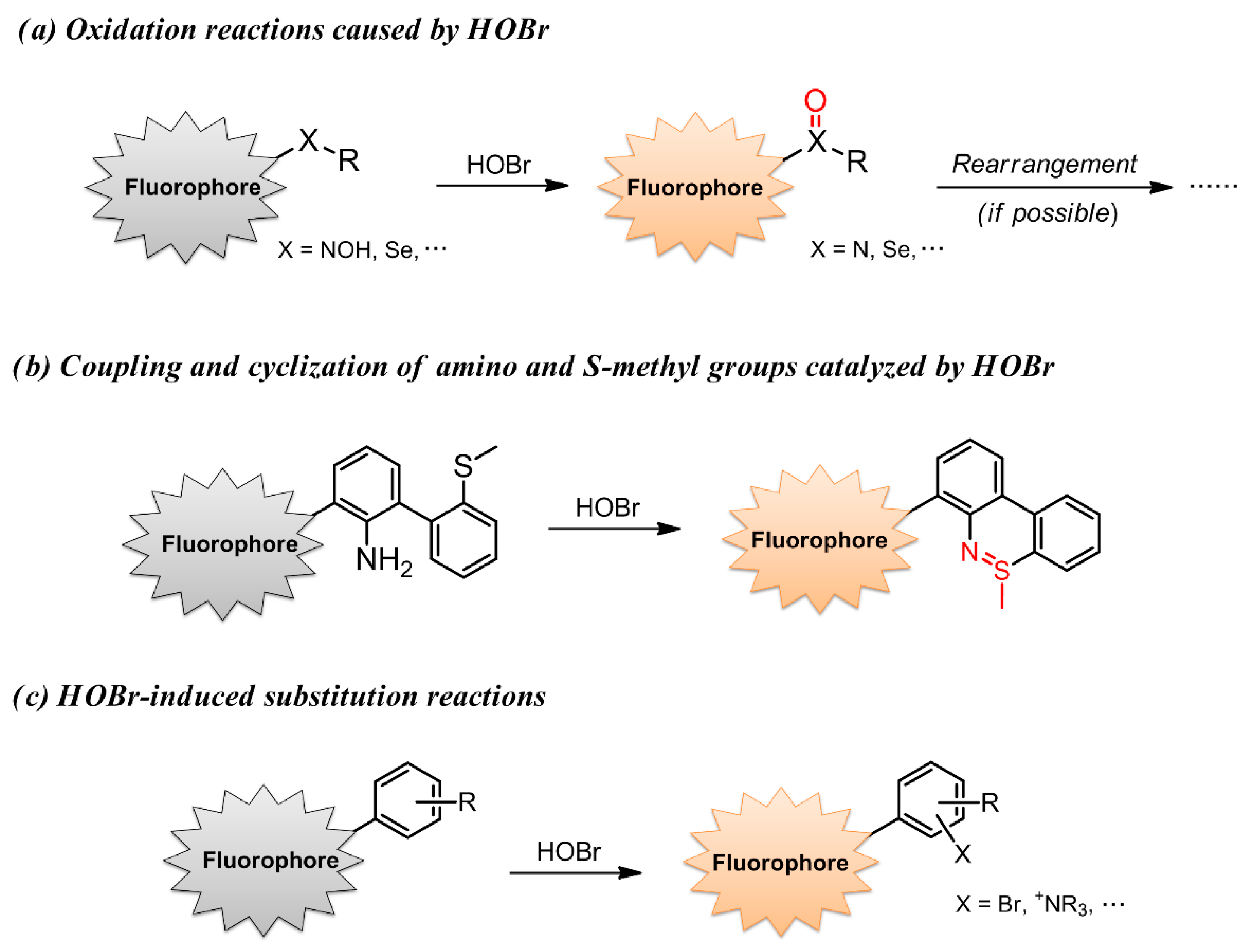 Molecules 26 00363 g002