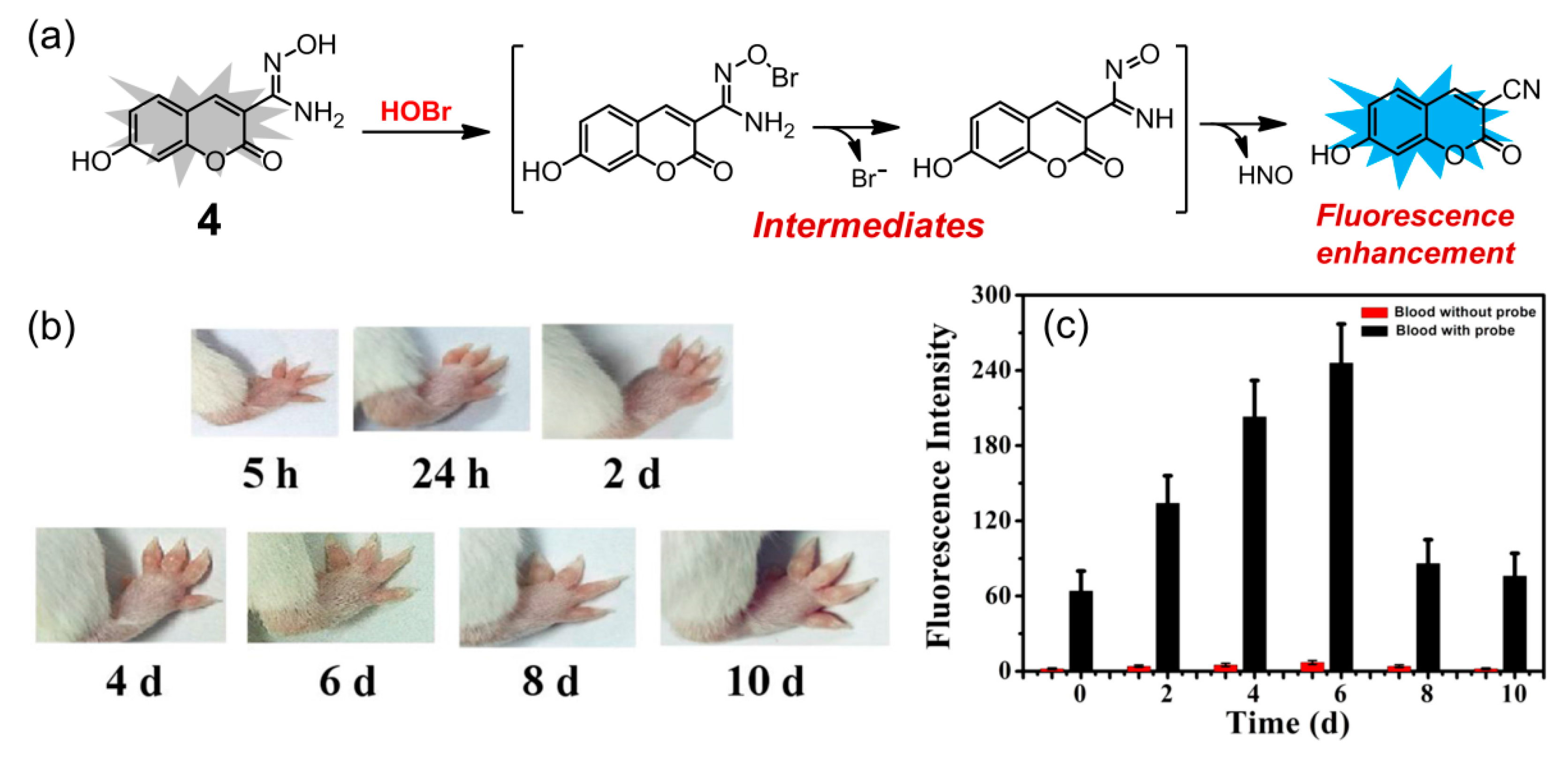 Molecules 26 00363 g005