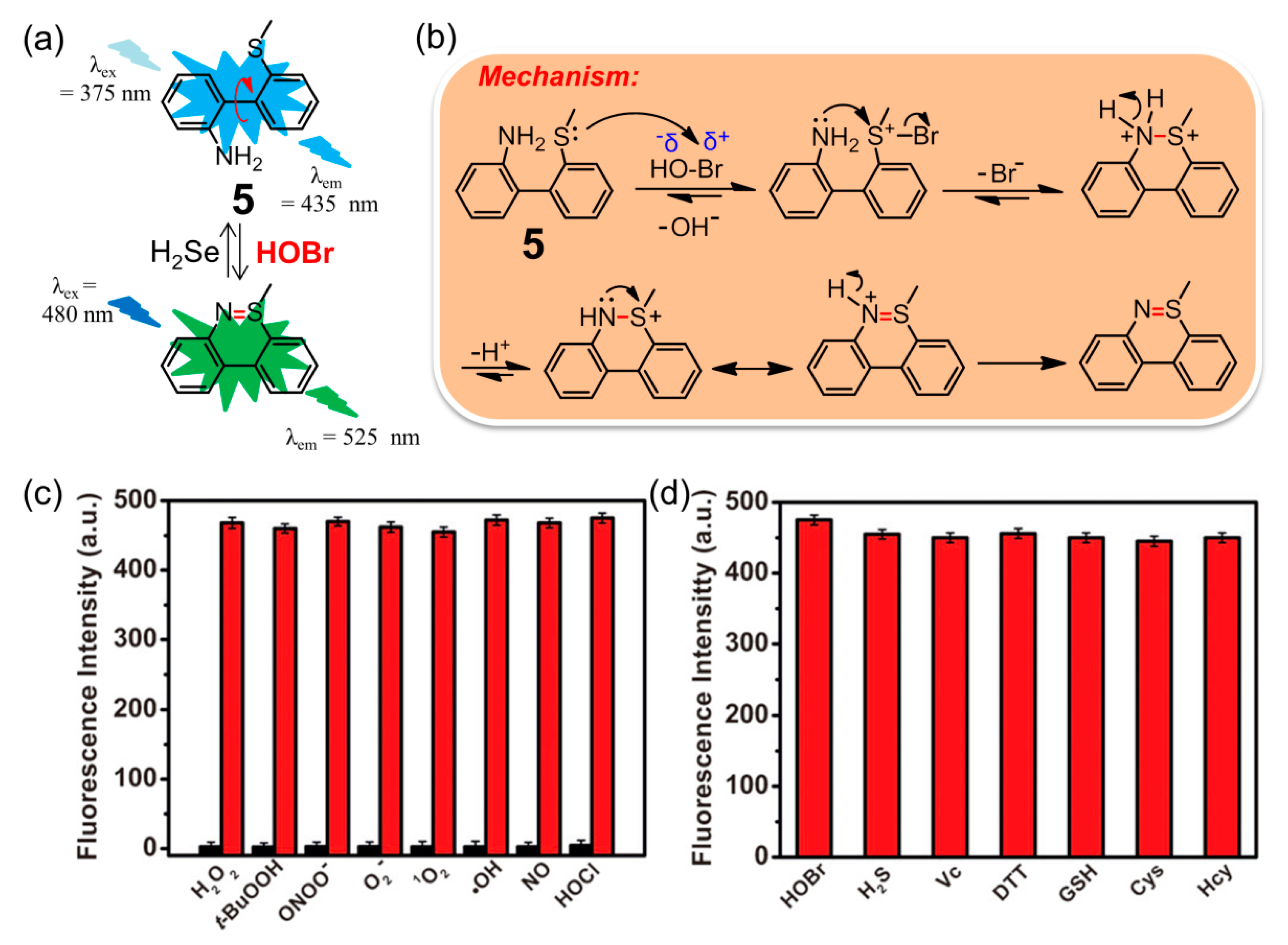 Molecules 26 00363 g006