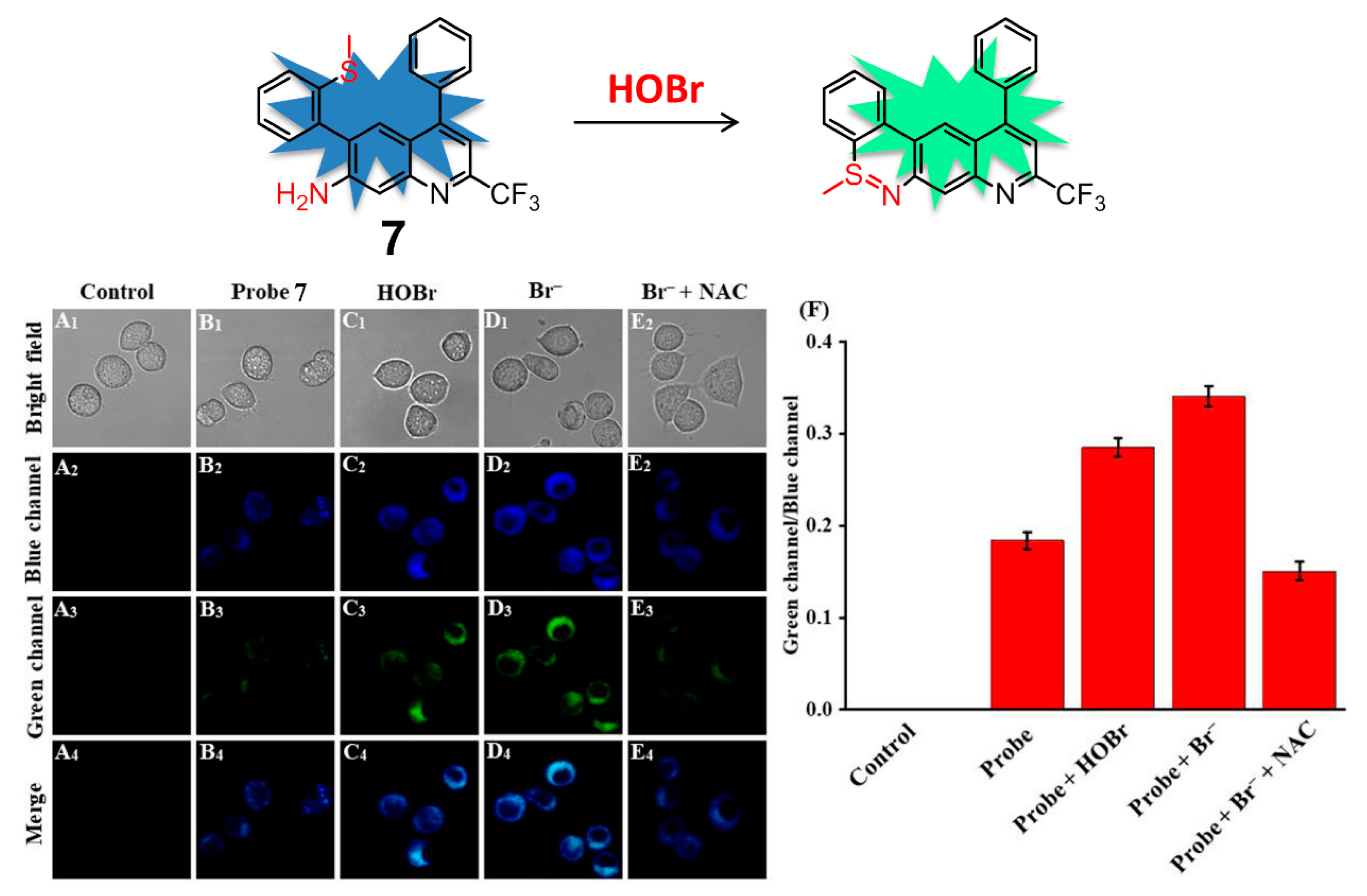 Molecules 26 00363 g008