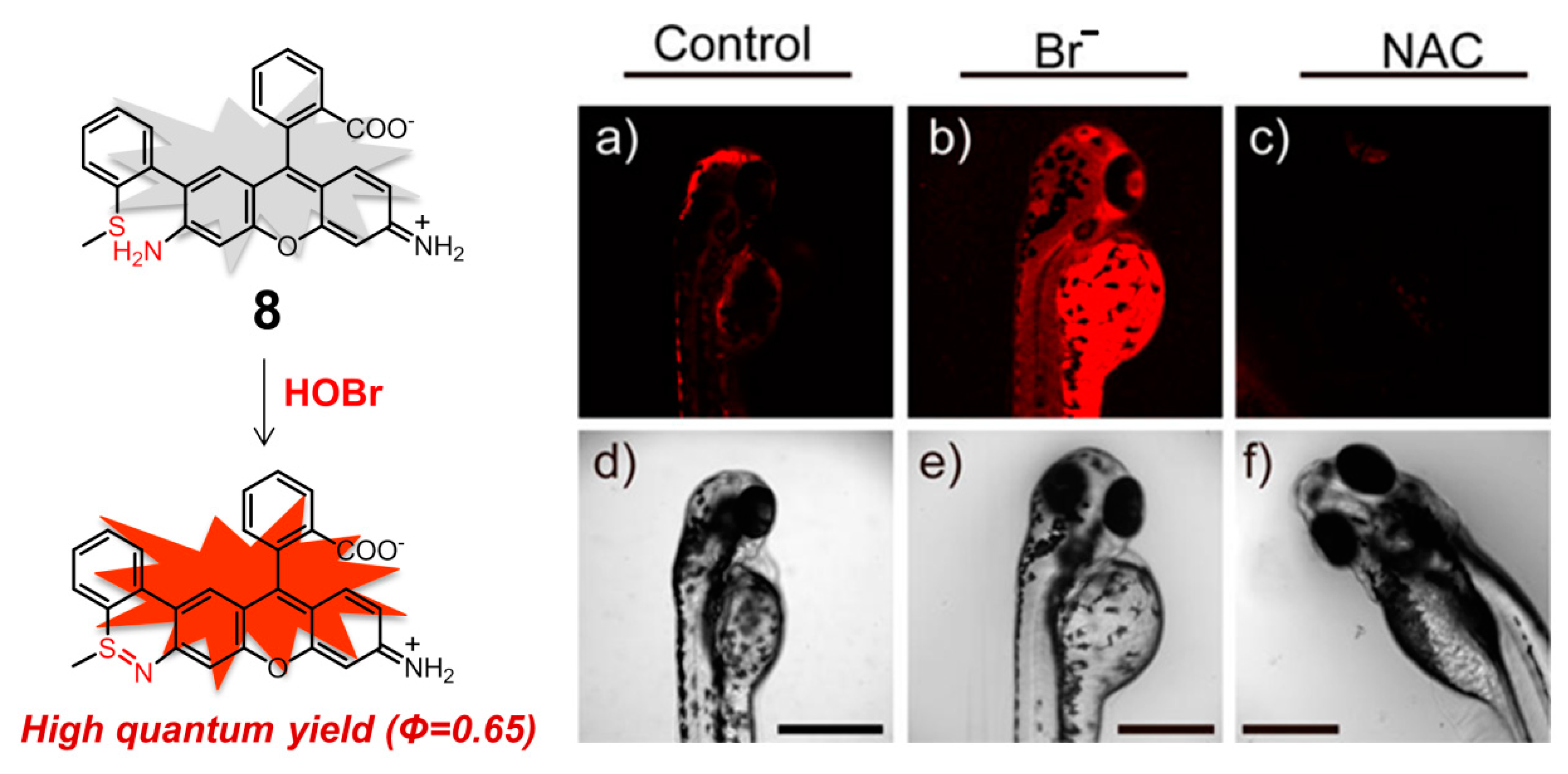 Molecules 26 00363 g009