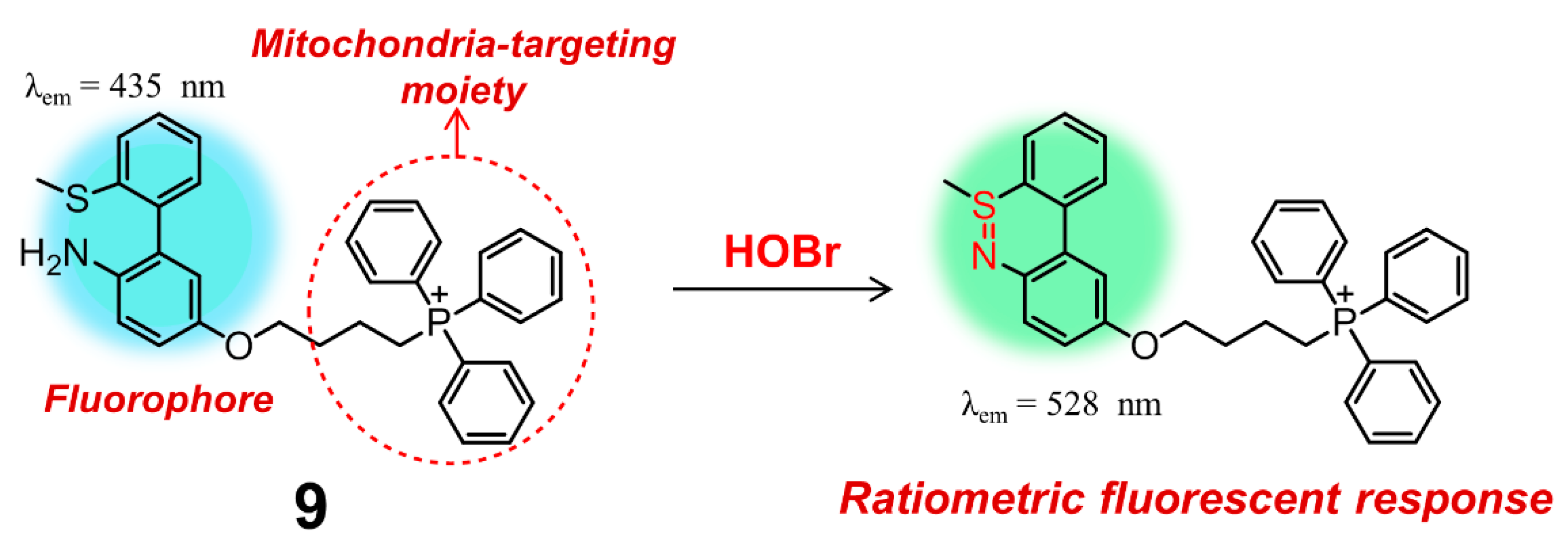 Molecules 26 00363 g010