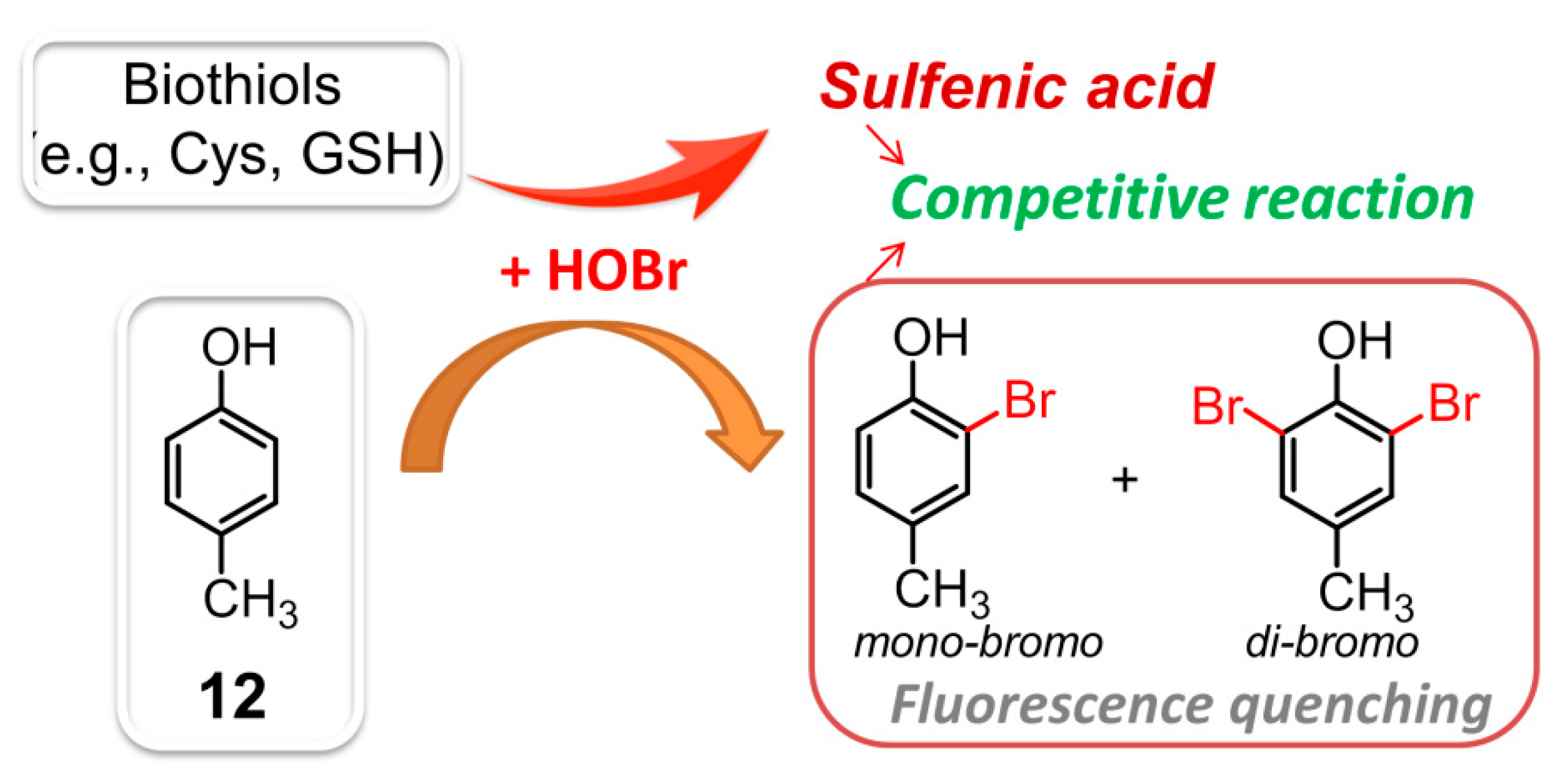 Molecules 26 00363 g012