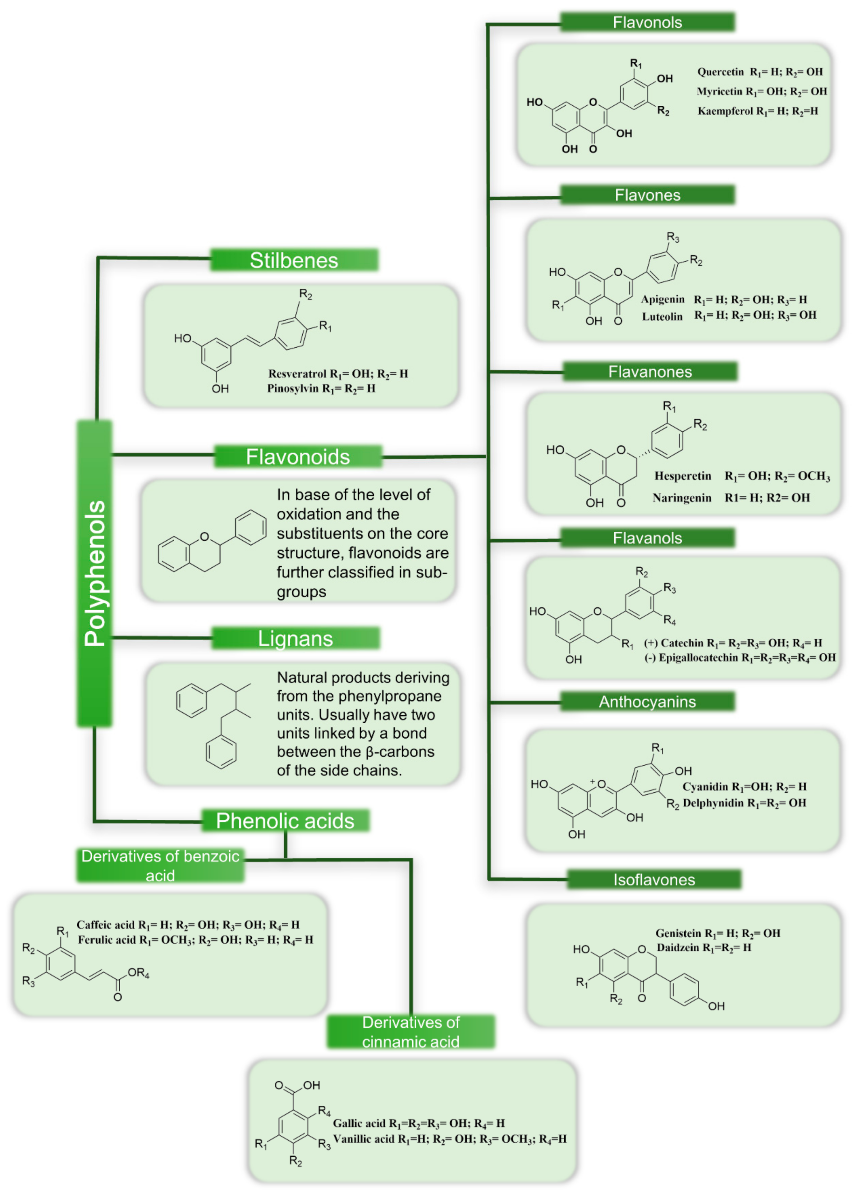 Molecules 26 00370 g002