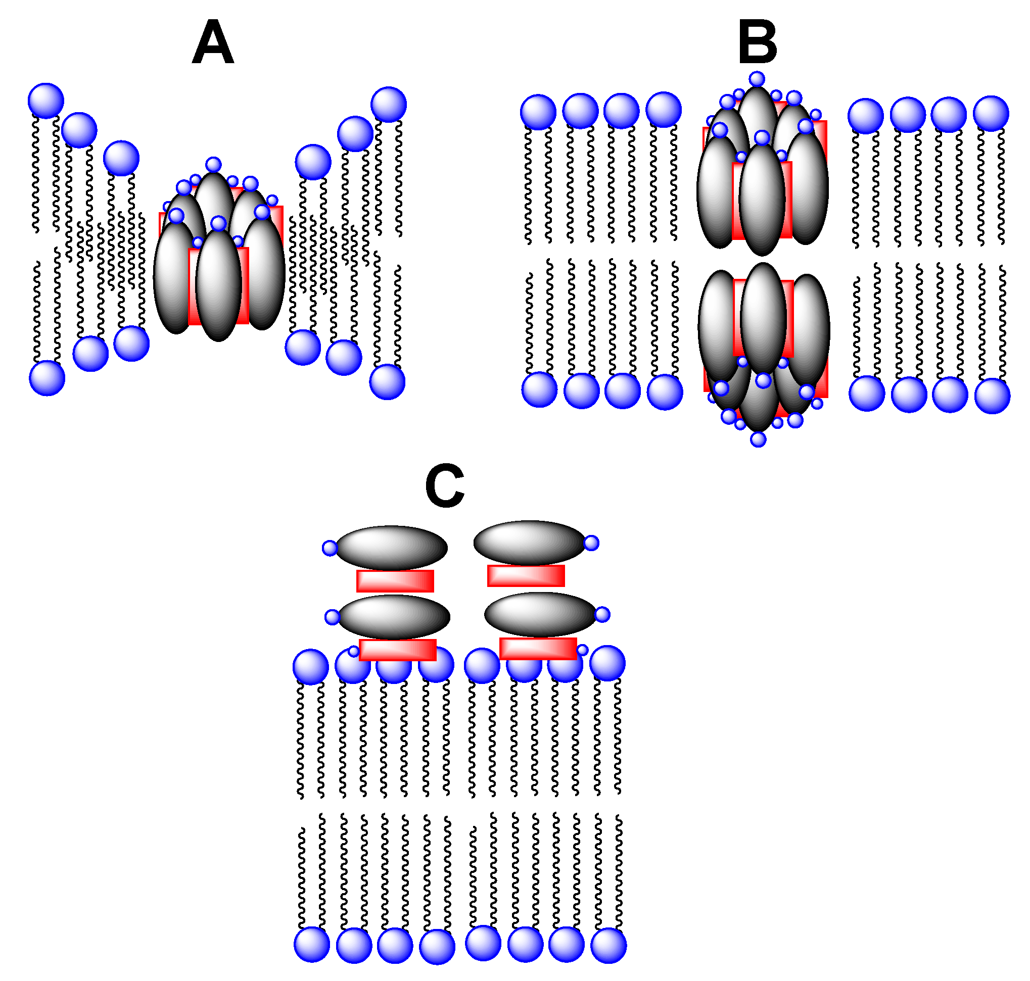Molecules 26 00374 g002