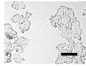 Molecules 26 00376 i017 Molecules 26 00376 i017
