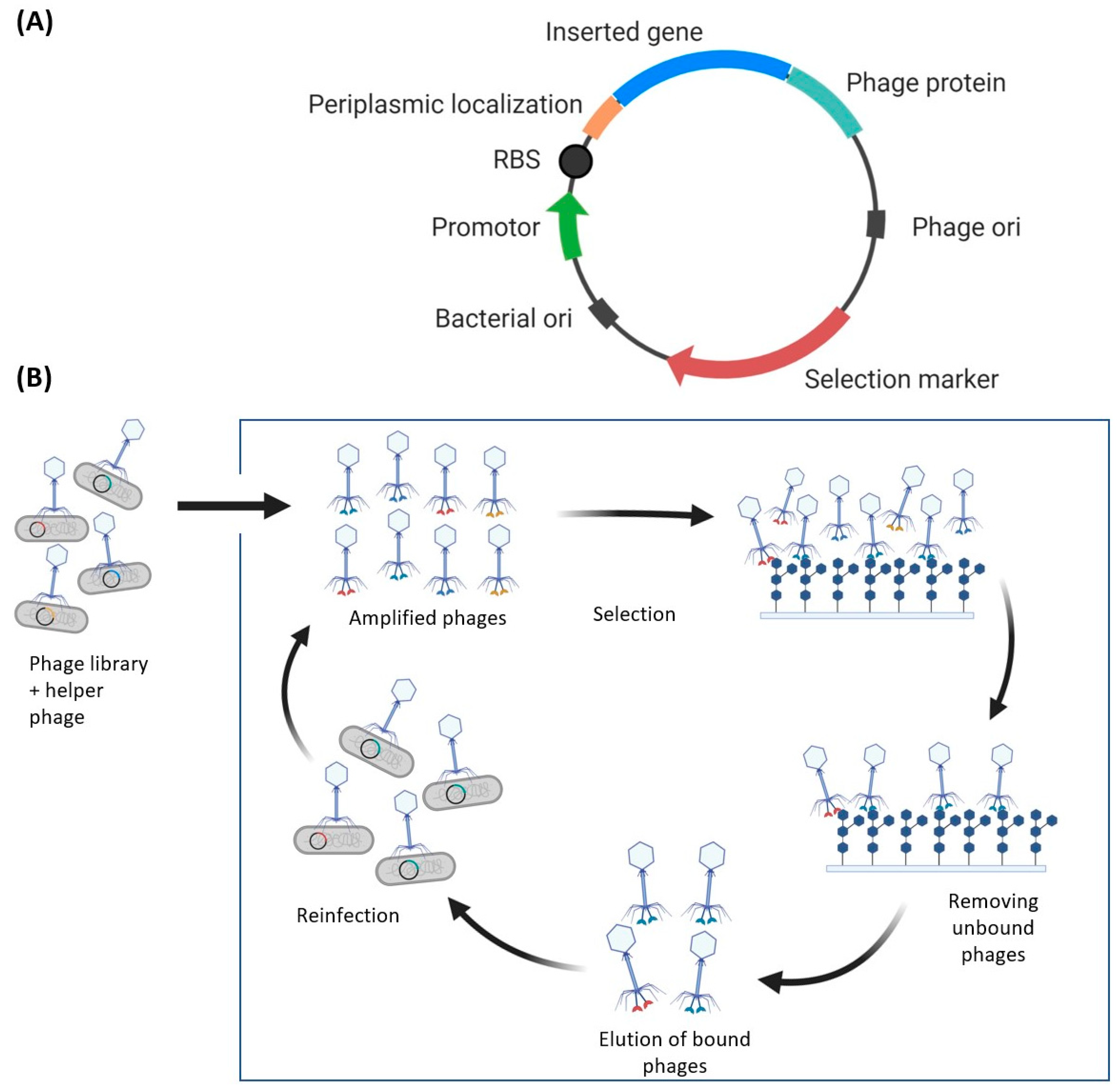 Molecules 26 00380 g002 Molecules 26 00380 g002