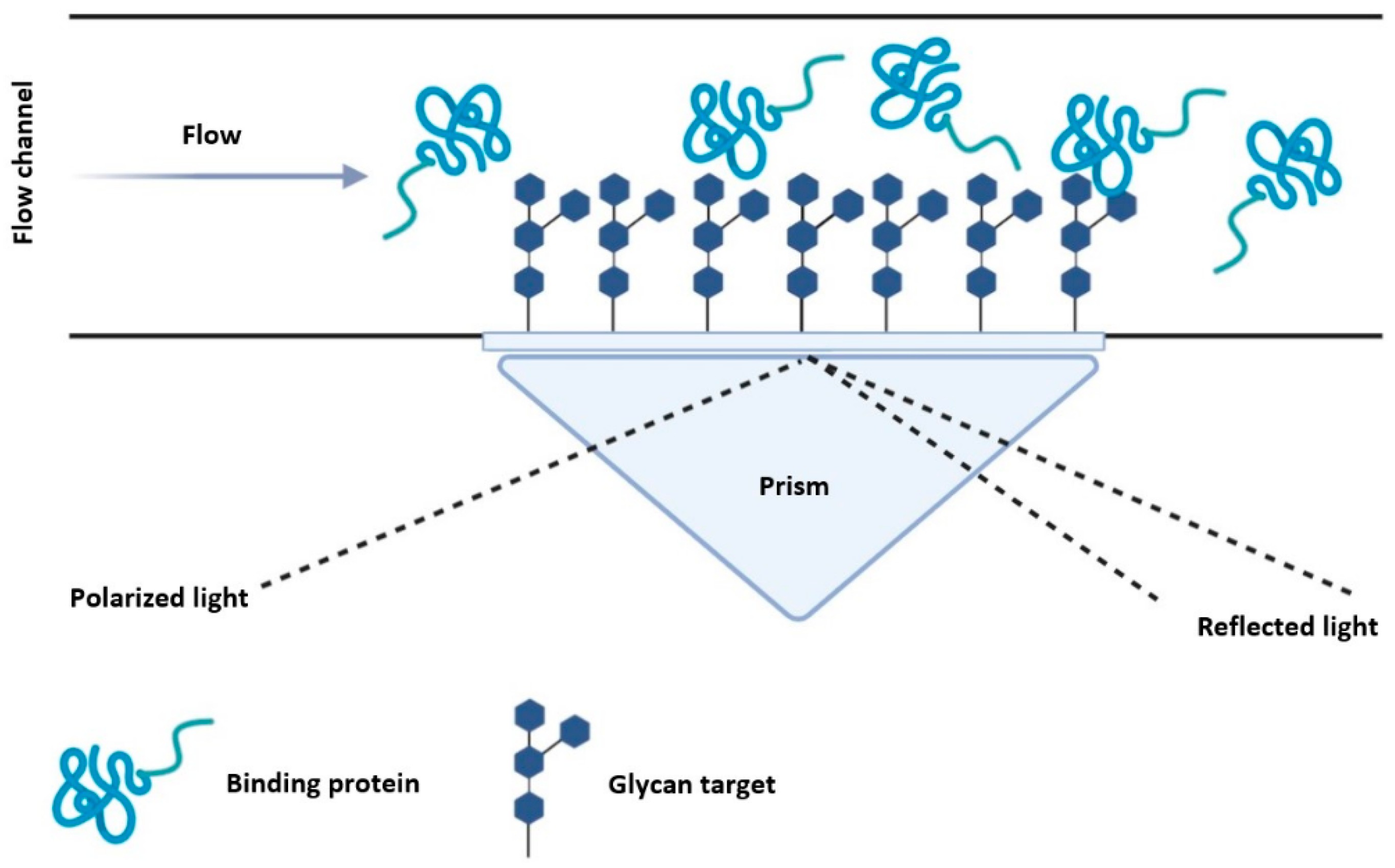 Molecules 26 00380 g006 Molecules 26 00380 g006