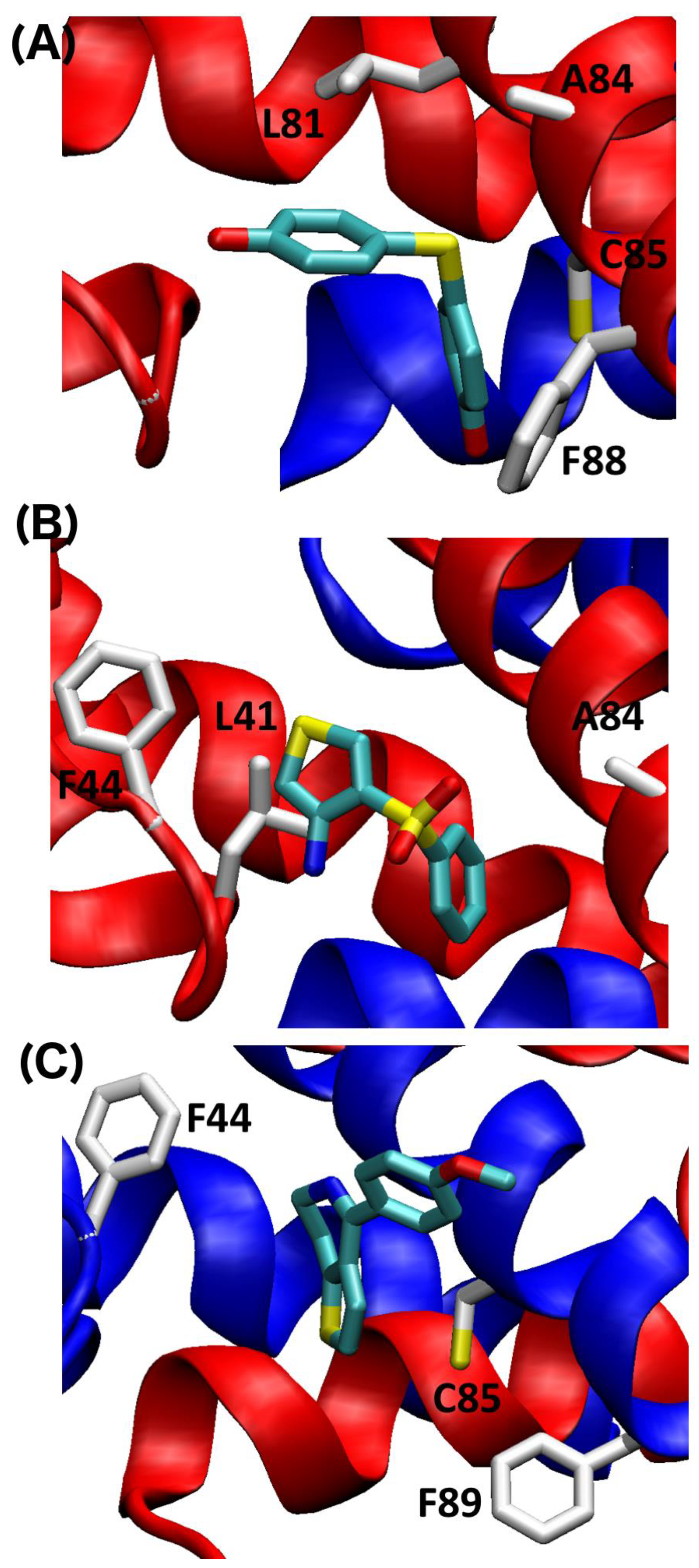 Molecules 26 00381 g007 Molecules 26 00381 g007
