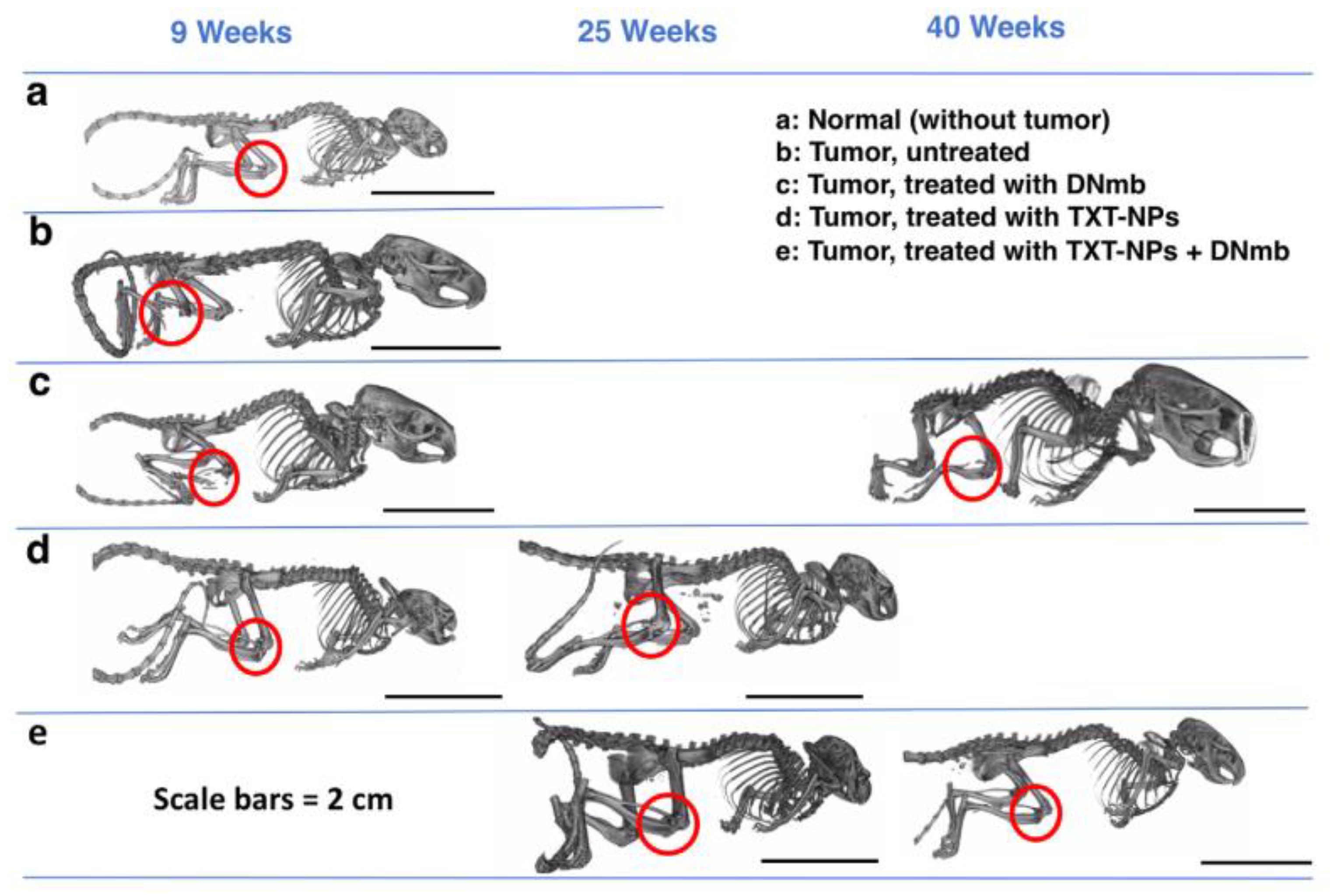Molecules 26 00384 g002