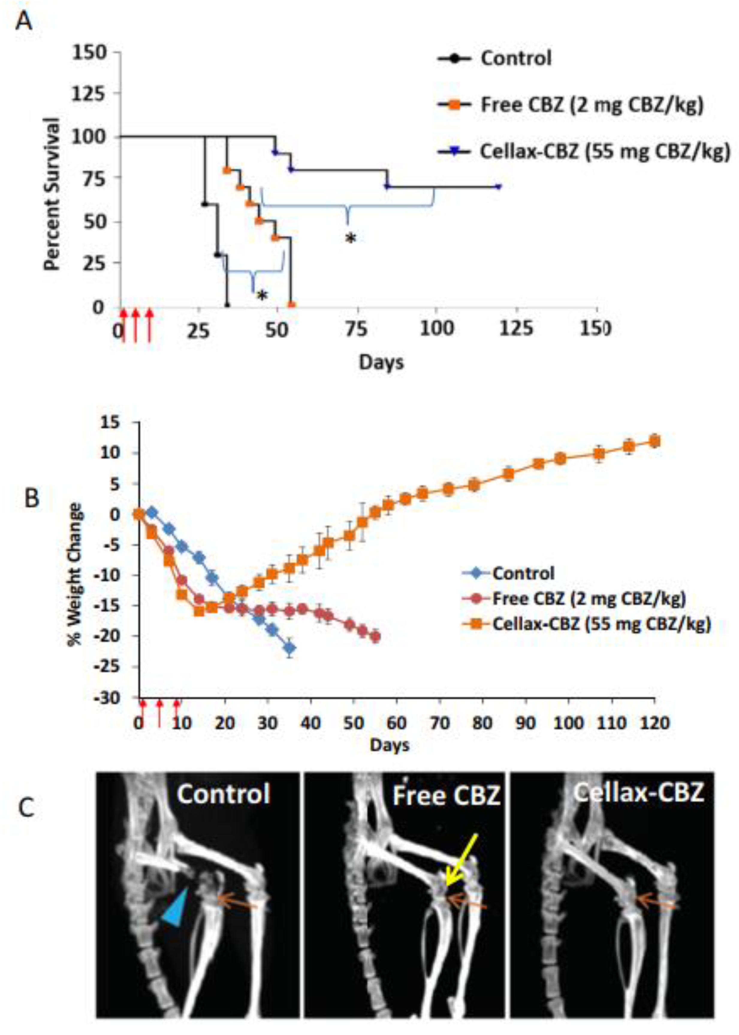 Molecules 26 00384 g003