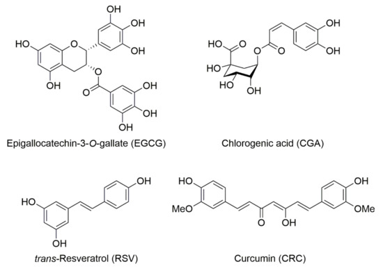 Novel Oxidation Oligomer of Chlorogenic Acid and