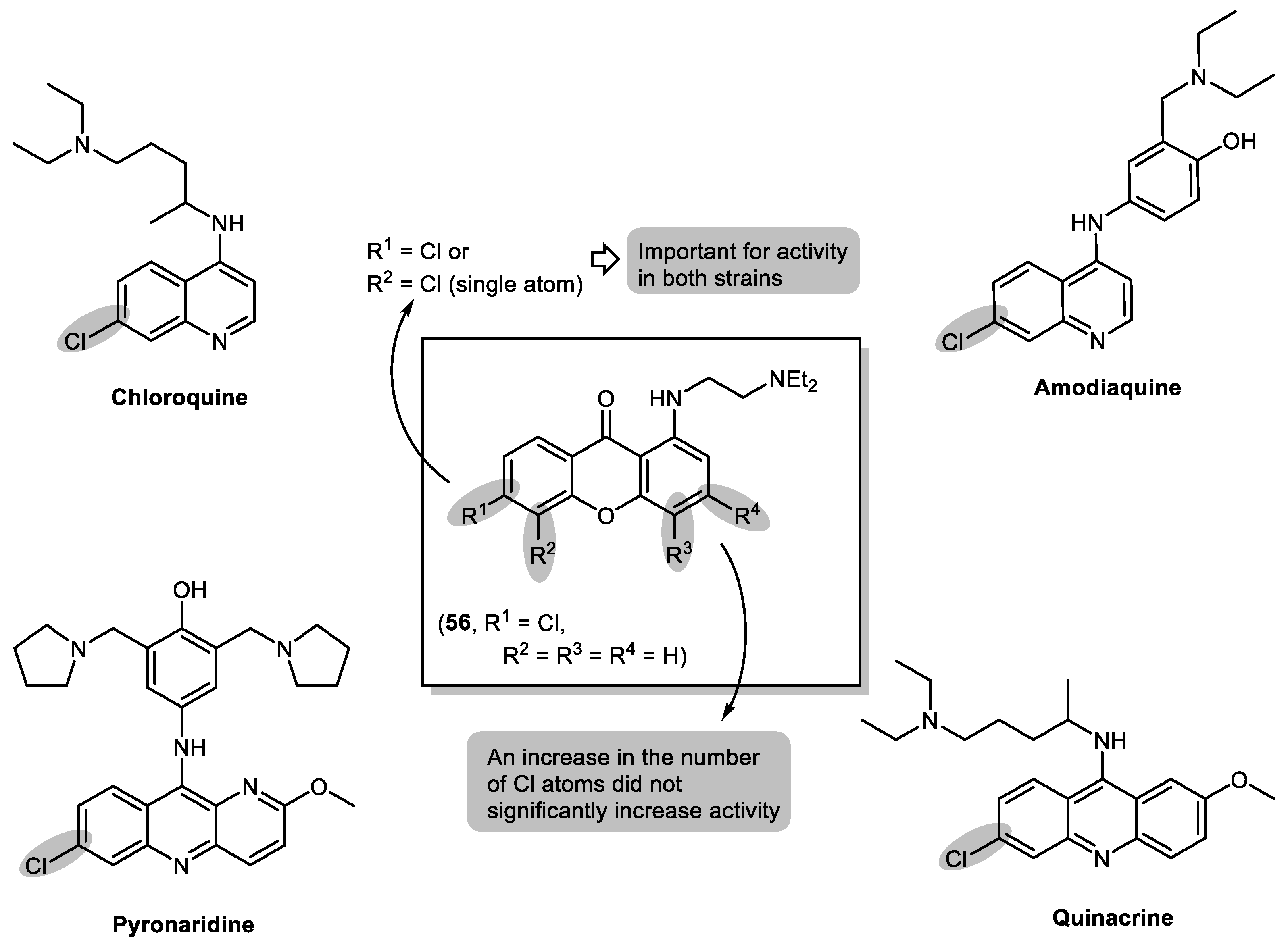 Molecules Free Full Text From Natural Products To New Synthetic Small Molecules A Journey Through The World Of Xanthones Html