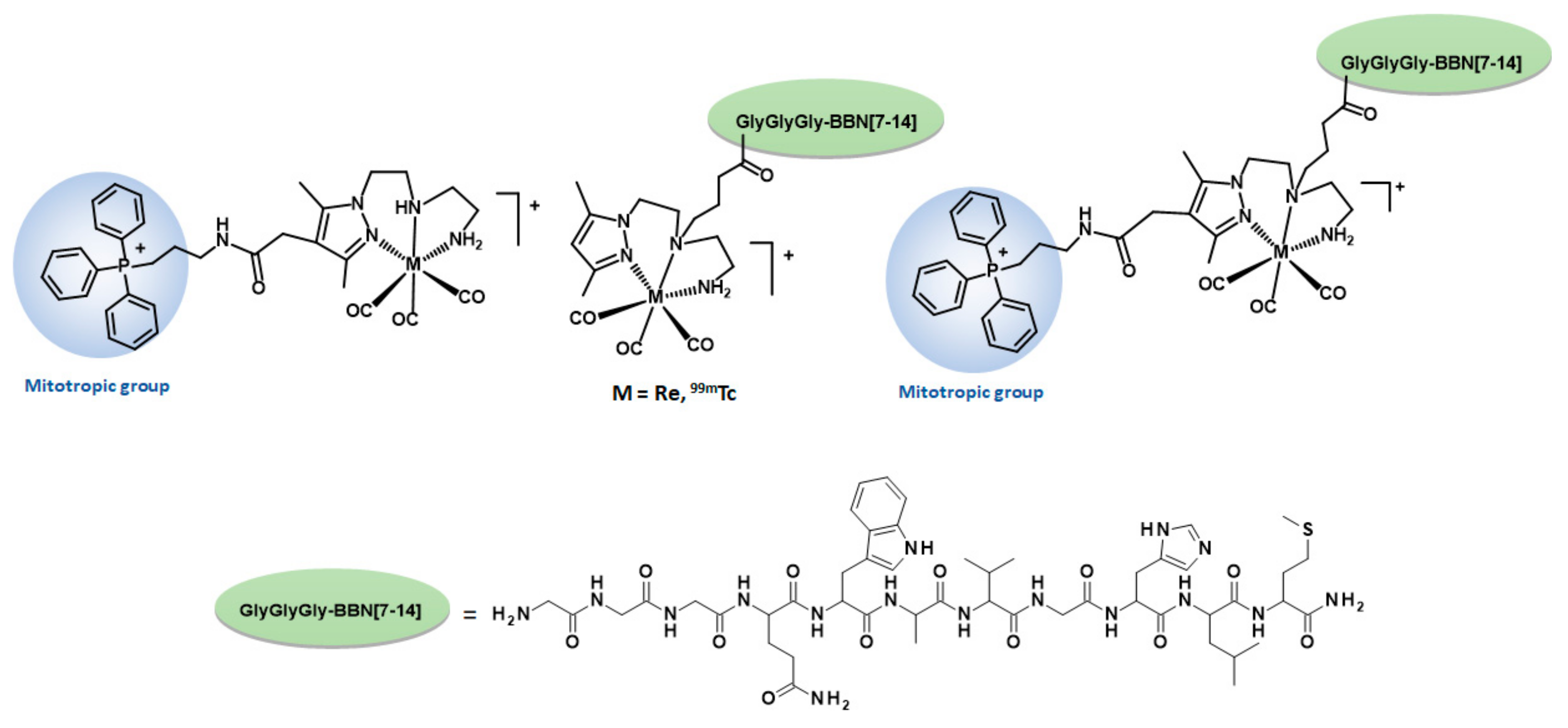 Molecules 26 00441 g001 Molecules 26 00441 g001