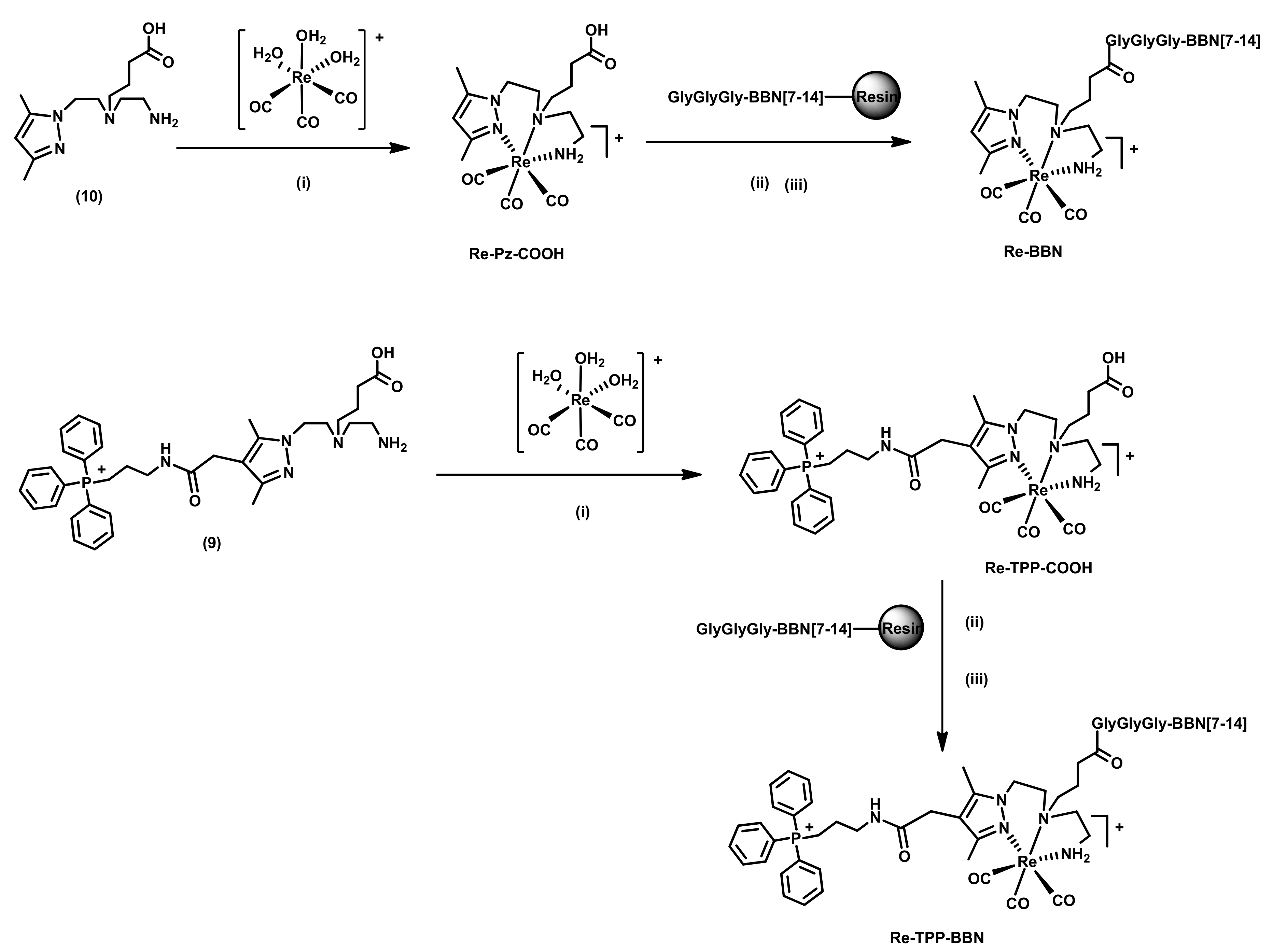 Molecules 26 00441 sch003 Molecules 26 00441 sch003