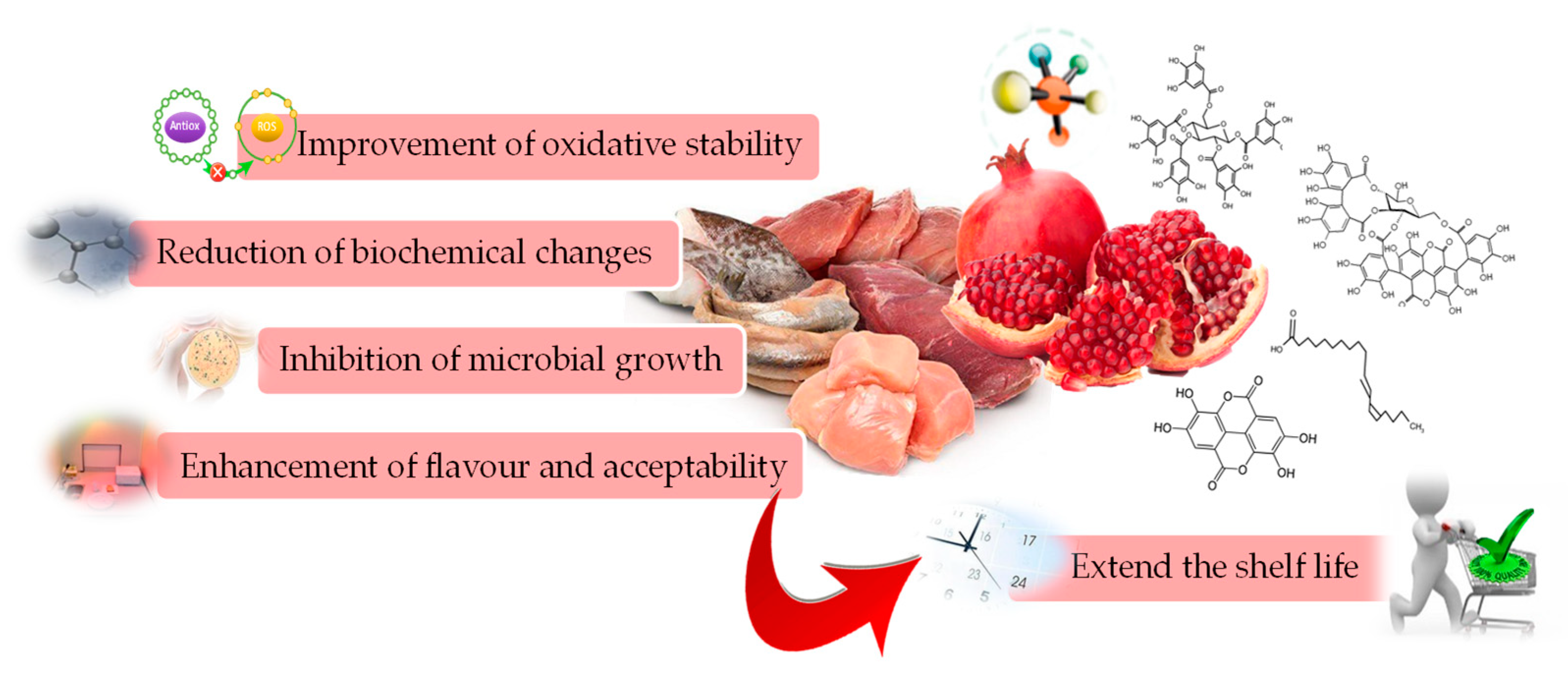 Molecules Free Full Text Application Of Pomegranate By Products In Muscle Foods Oxidative Indices Colour Stability Shelf Life And Health Benefits