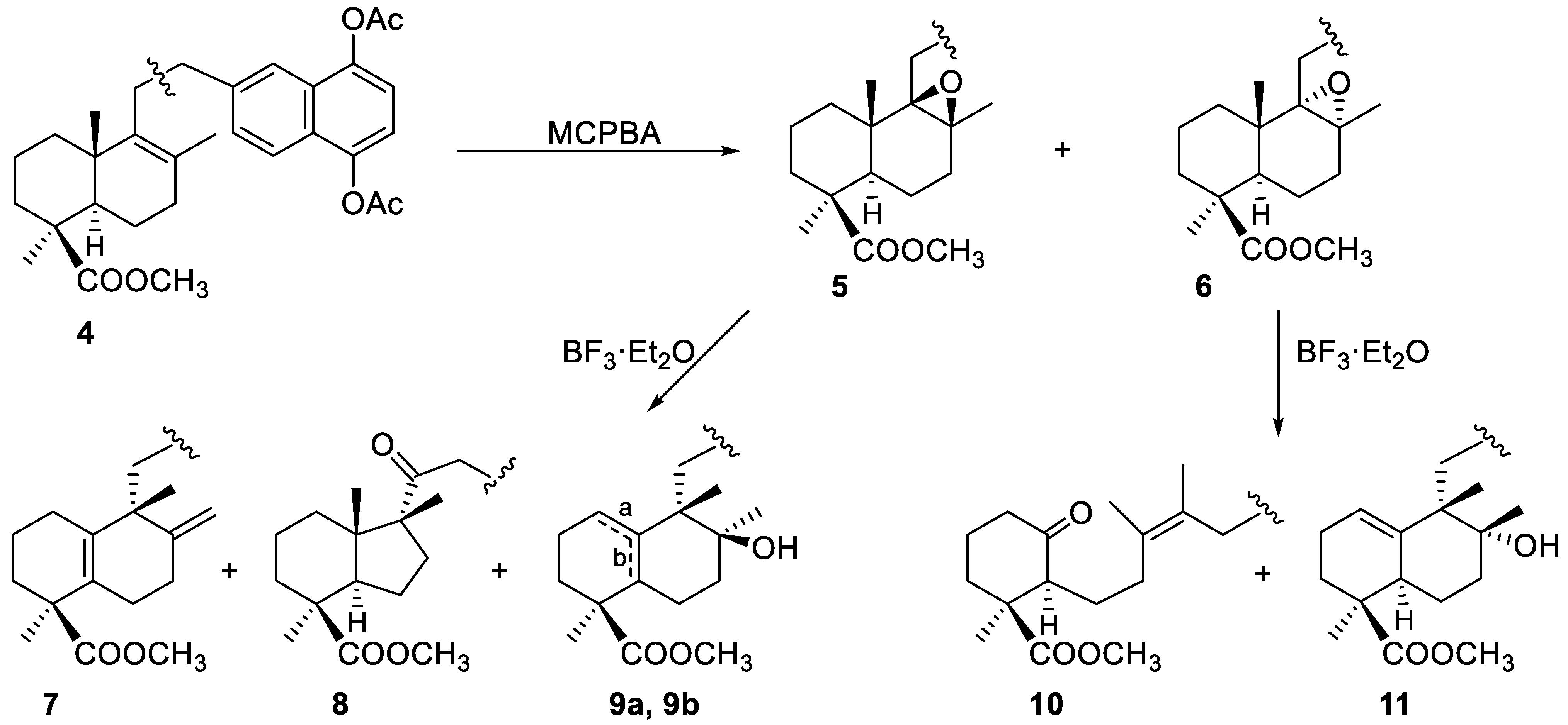 Molecules 26 00474 sch002