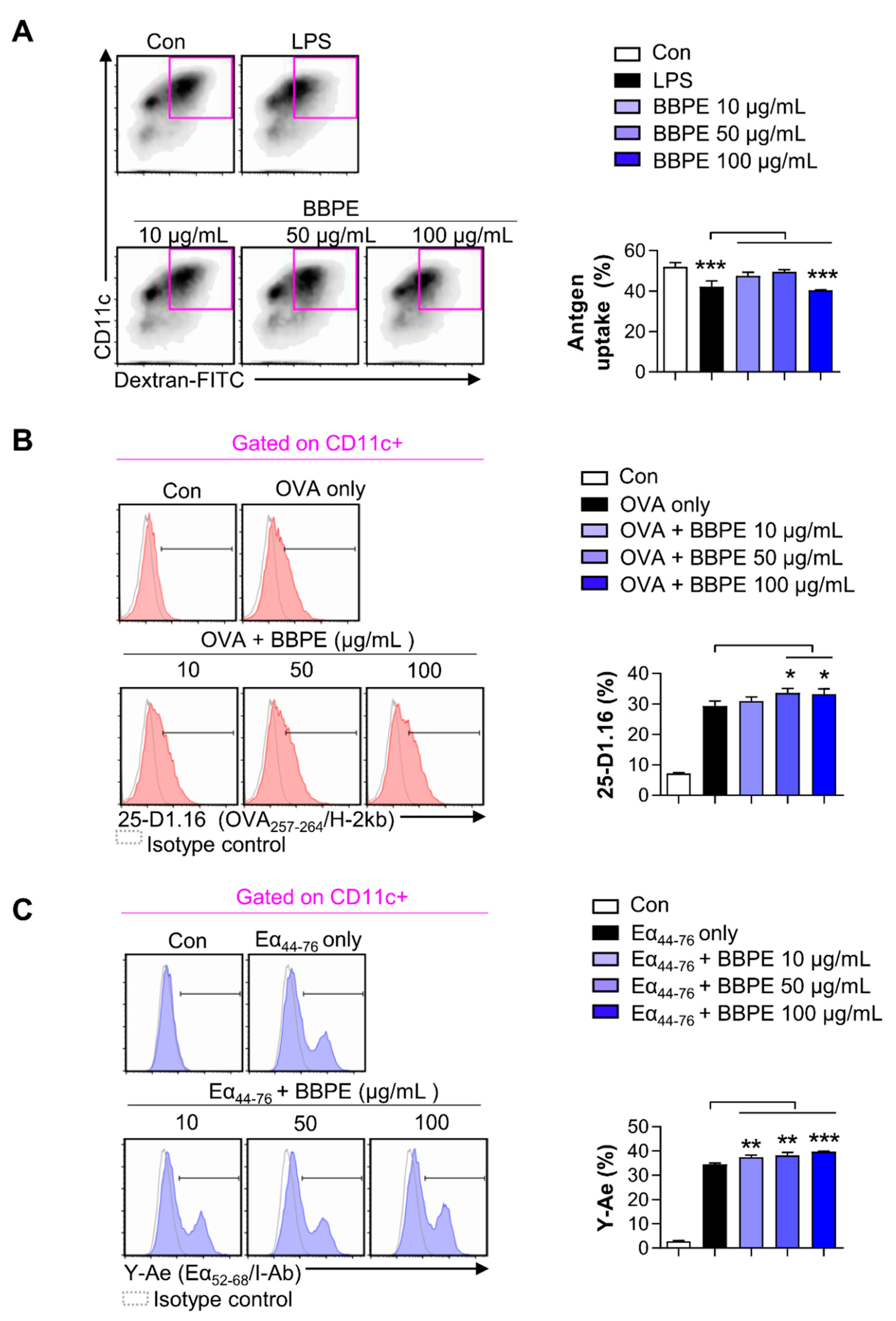 Molecules 26 00476 g003 Molecules 26 00476 g003