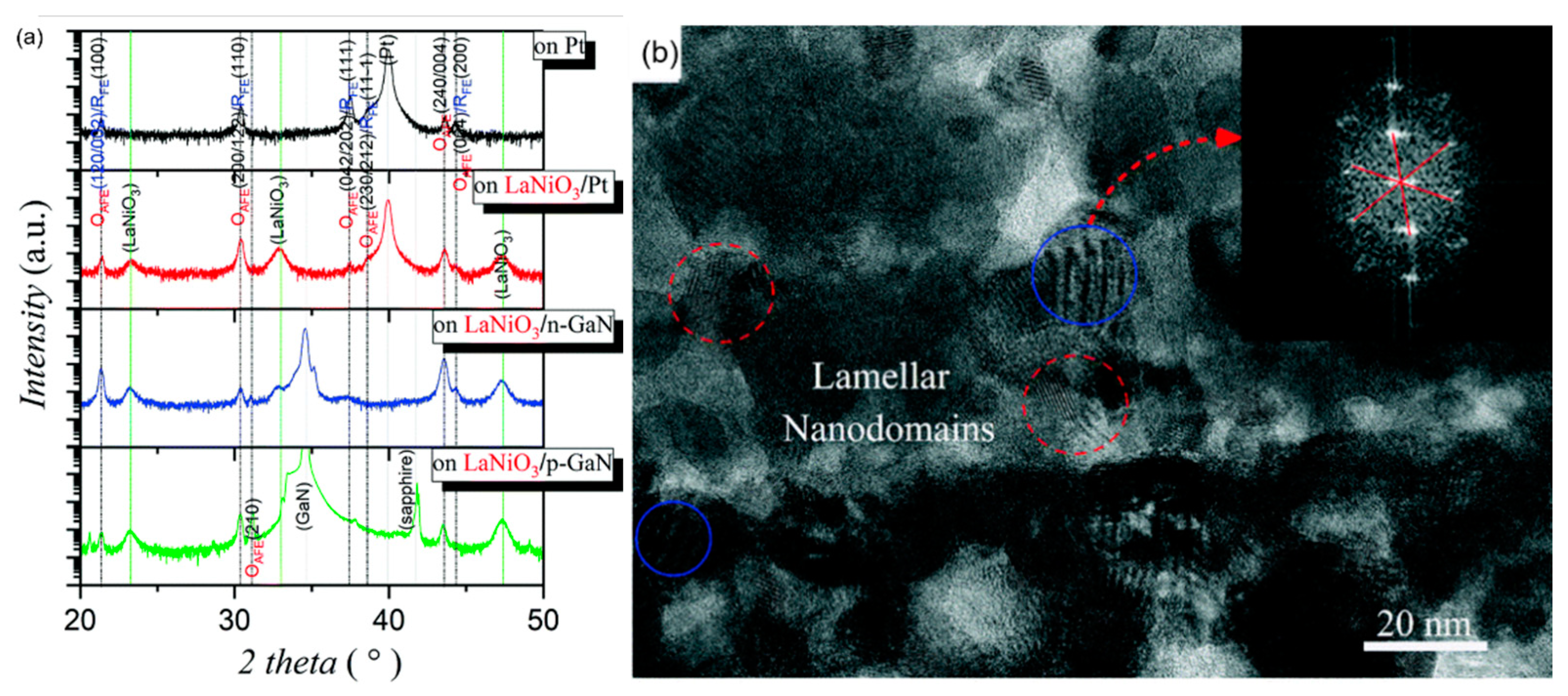 Molecules 26 00481 g029 Molecules 26 00481 g029