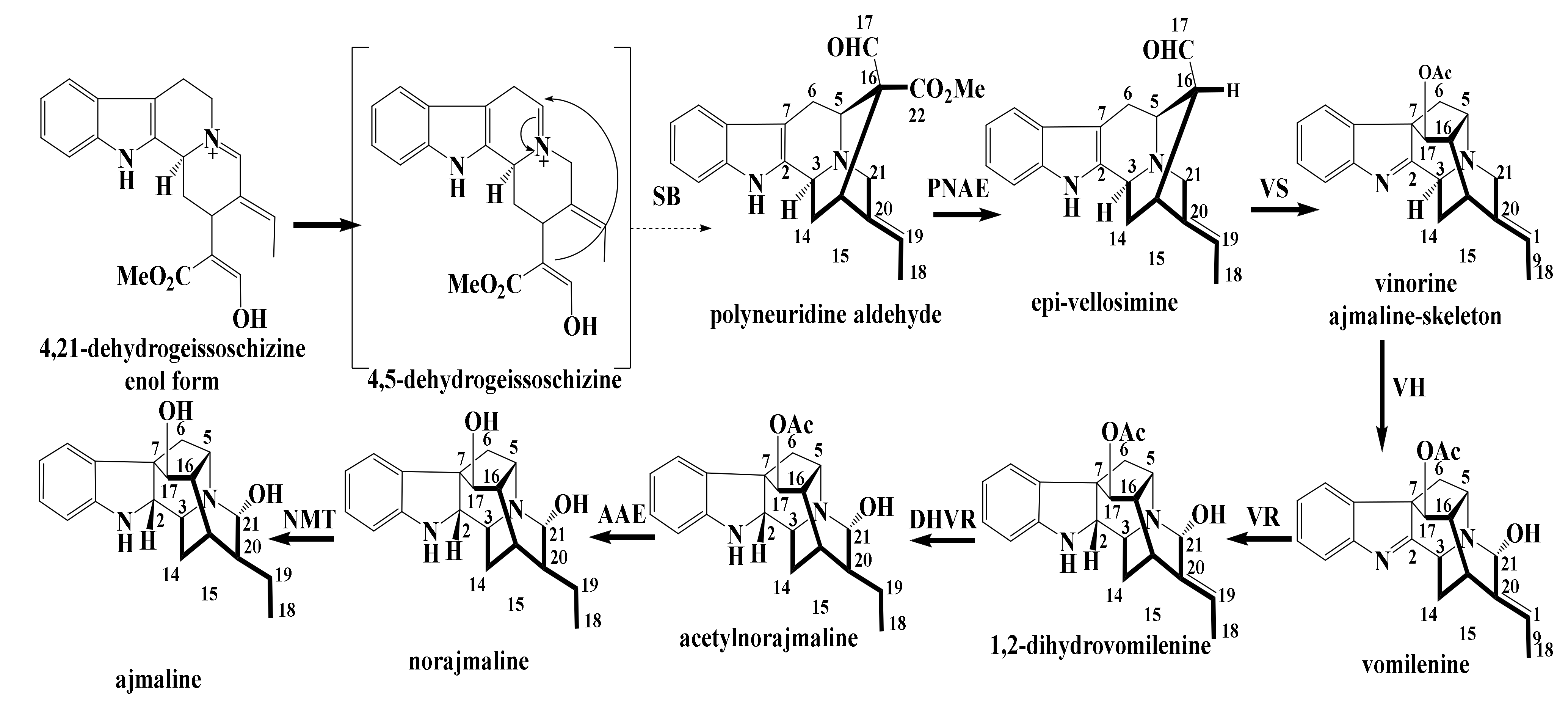 Molecules 26 00488 sch002 Molecules 26 00488 sch002