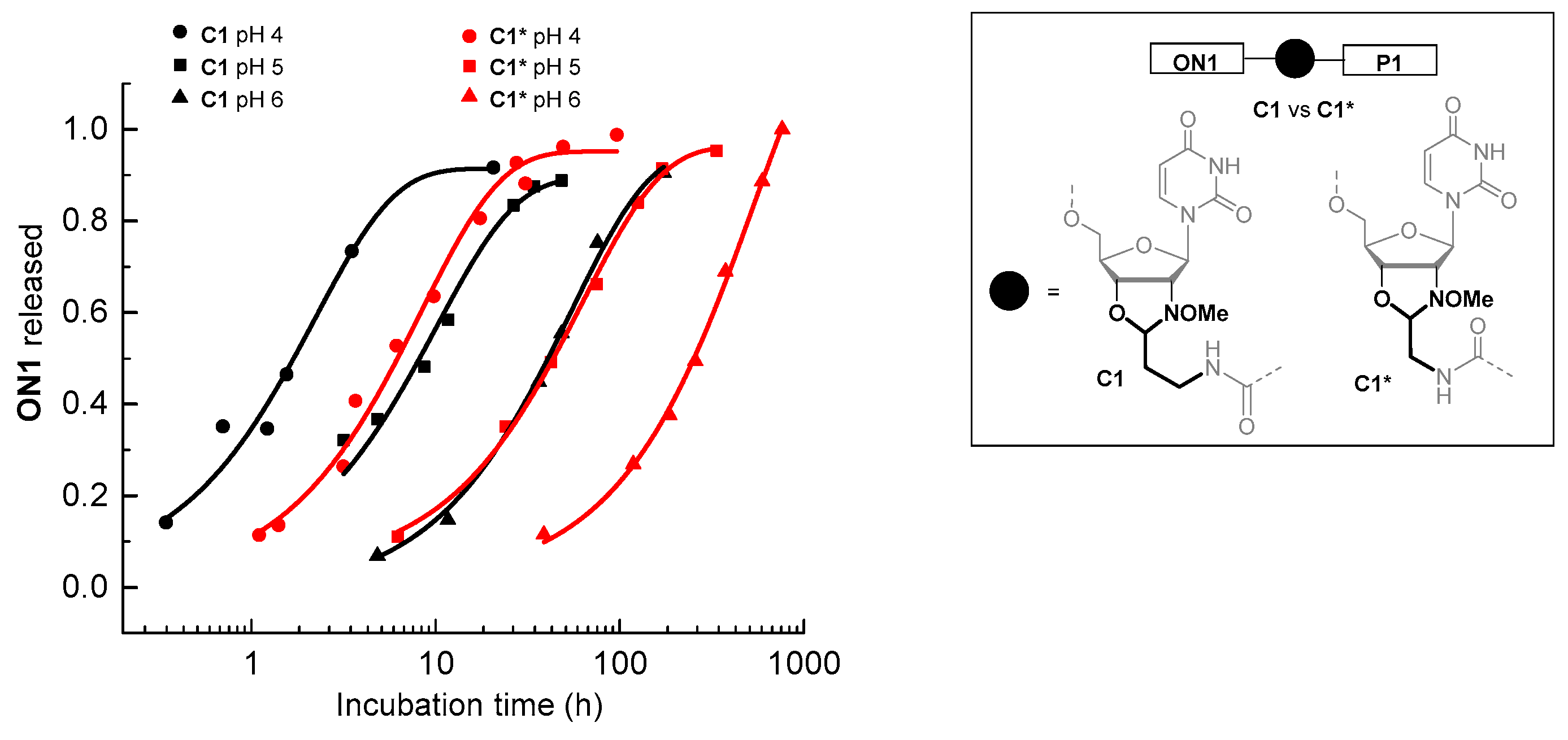 Molecules 26 00490 g003